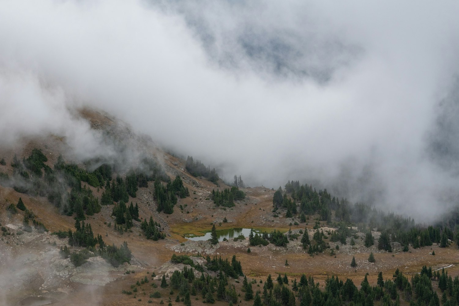 南昌县雄溪河进展更新,探索与实践之路