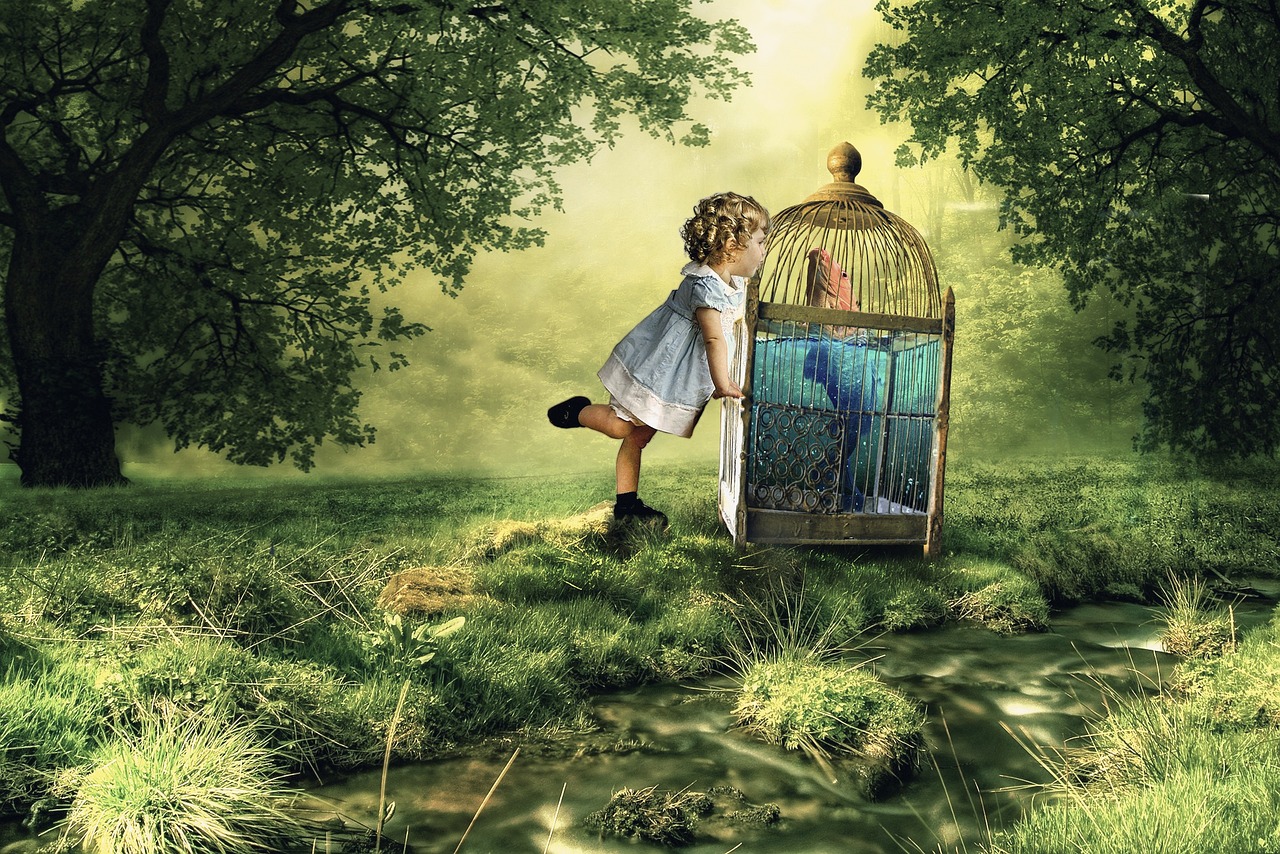 动漫黑板图片的魅力与深远影响