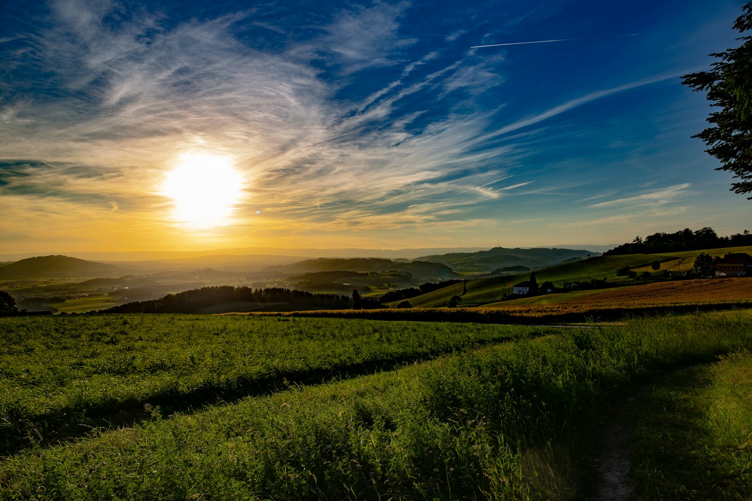 深圳协警改革最新动态,探索创新,推动警务现代化发展