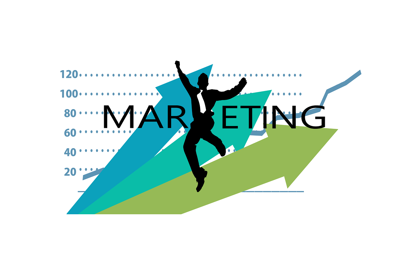 银杏行情,繁荣背后的生态与经济效益共赢之路