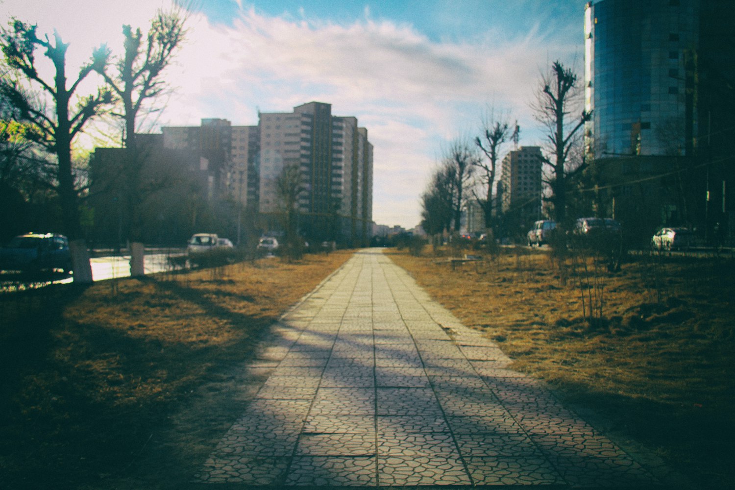 最新绿化政策,重塑城市生态,引领未来发展之道