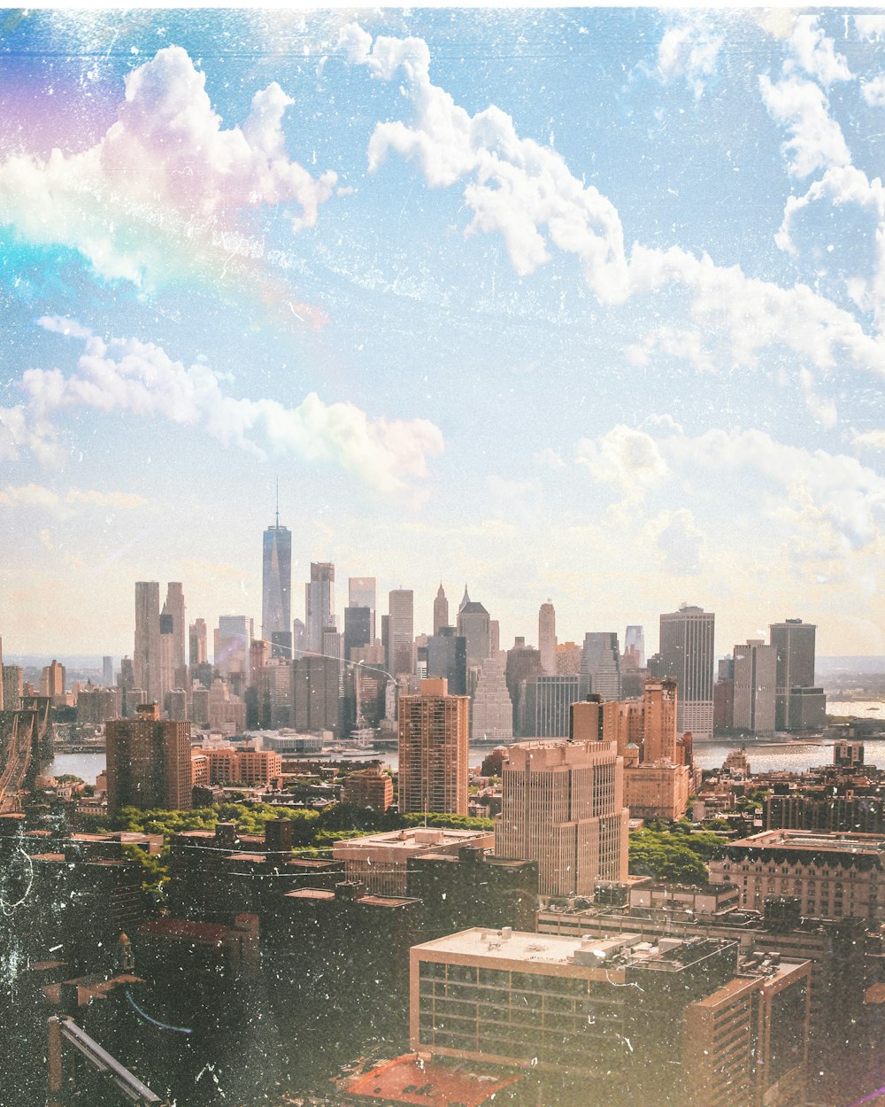 最新绿化政策,重塑城市生态,引领未来发展之道