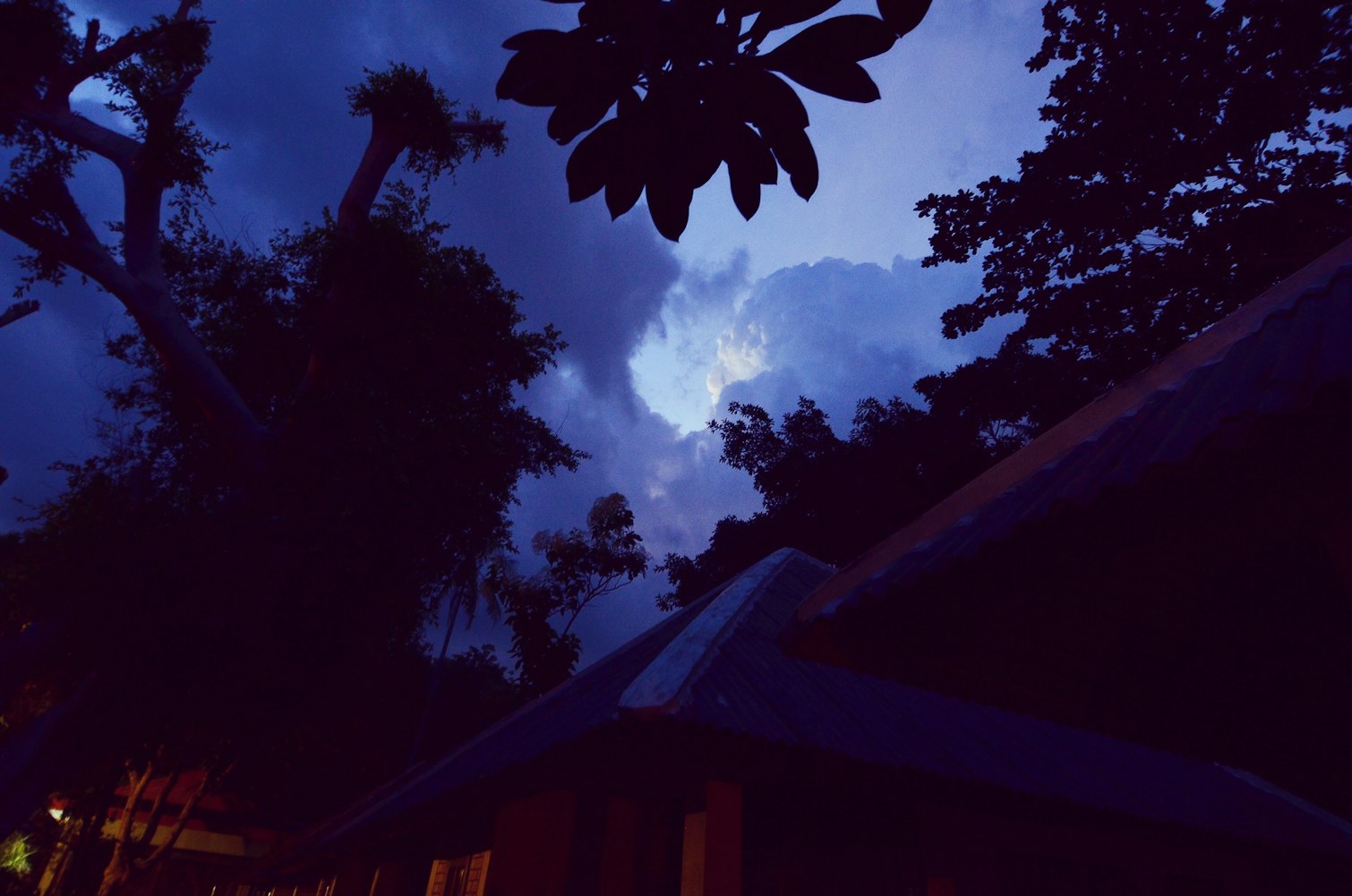 探索动漫世界的视觉与情感盛宴——去看吧动漫