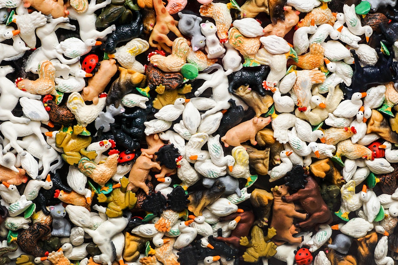 橡胶鸭比赛，别开生面的水上竞技盛宴