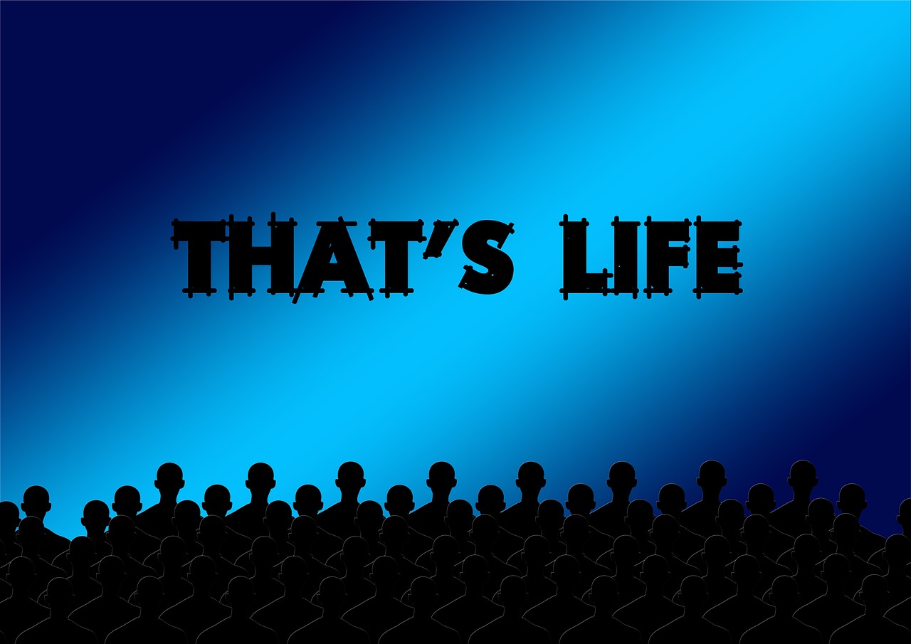 电影下载网址大揭秘,探索影视资源的无尽世界