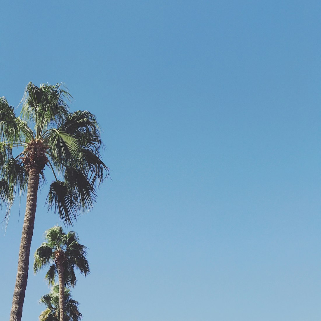 松原最新疫情动态,全面应对,共筑防线