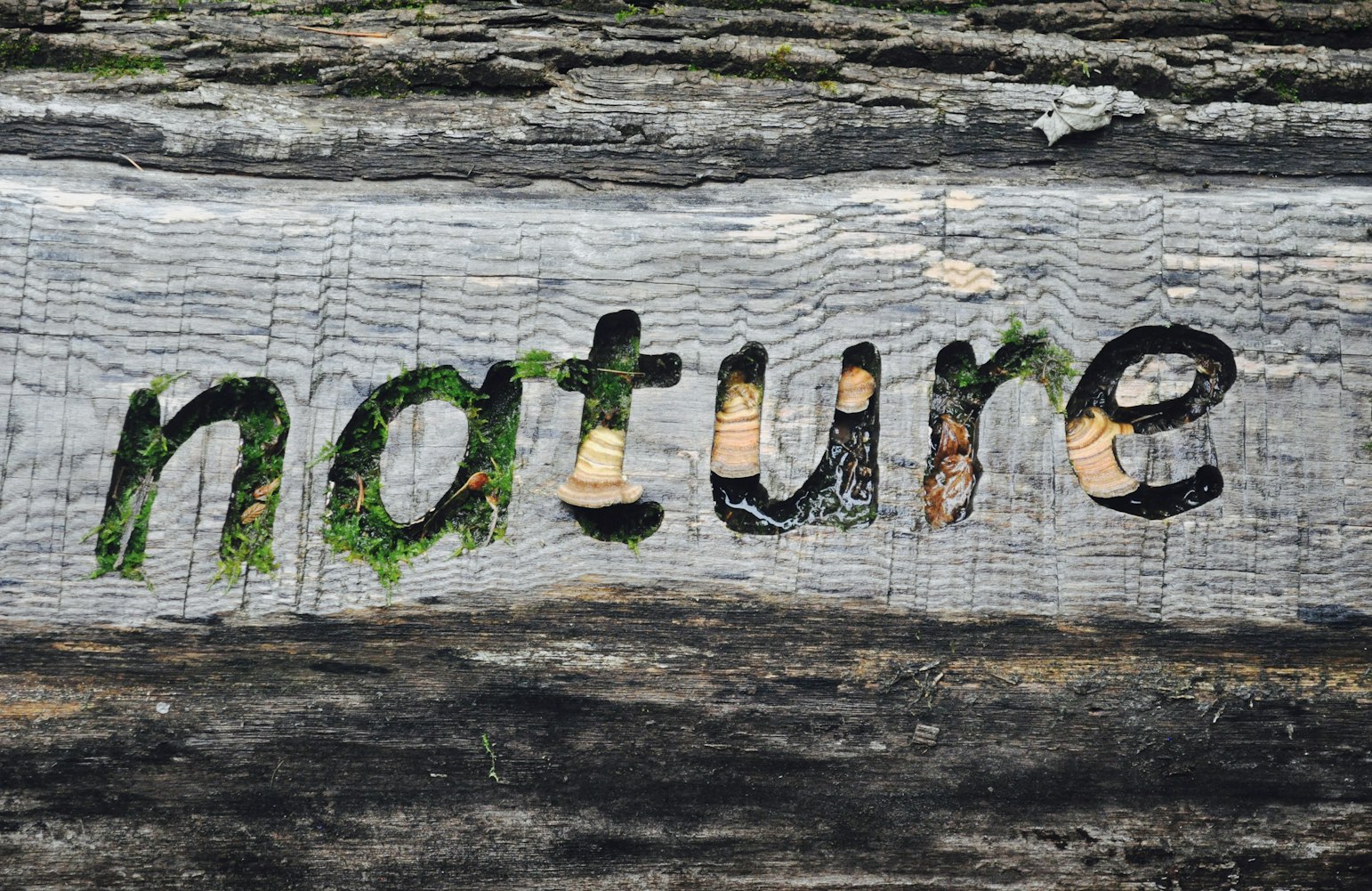 淞沪会战电影在线观看,历史与艺术的完美交融