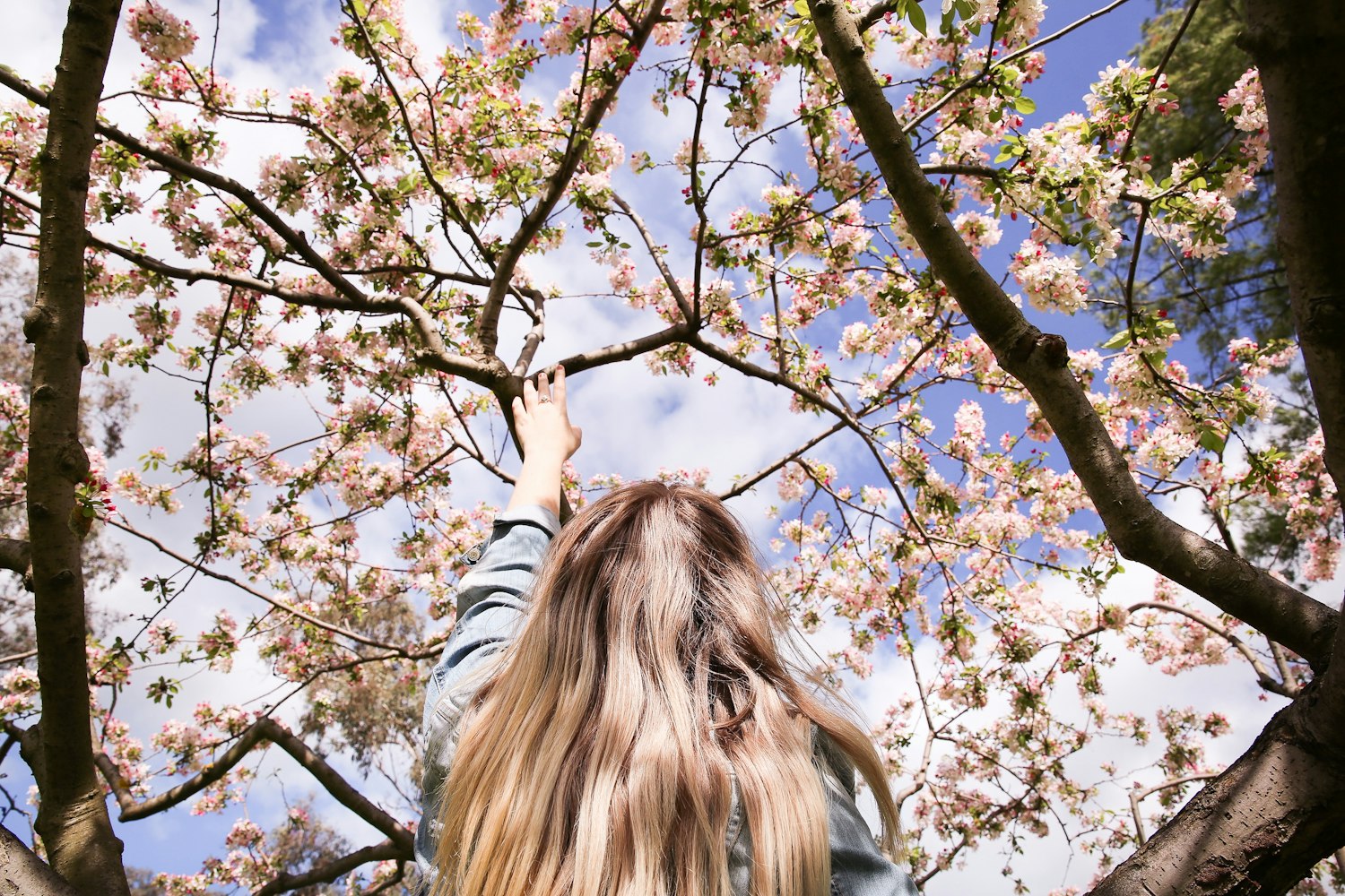 日本动漫女头像的魅力探索