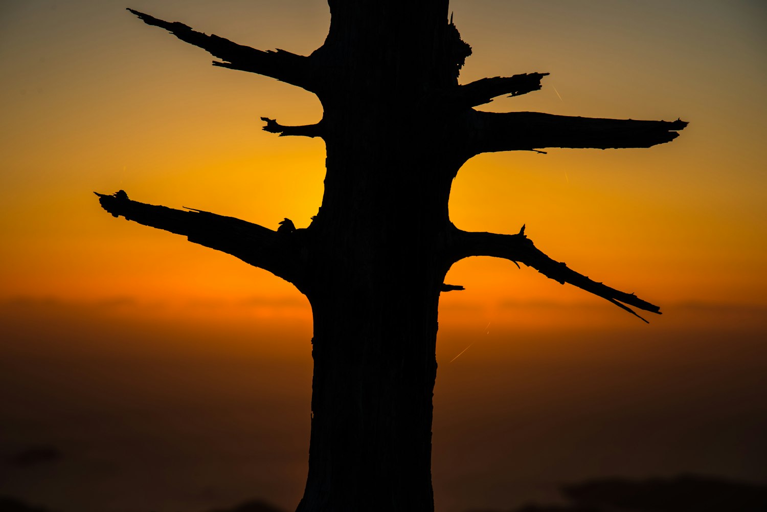 佛学新篇，探索现代佛学的新境界之道