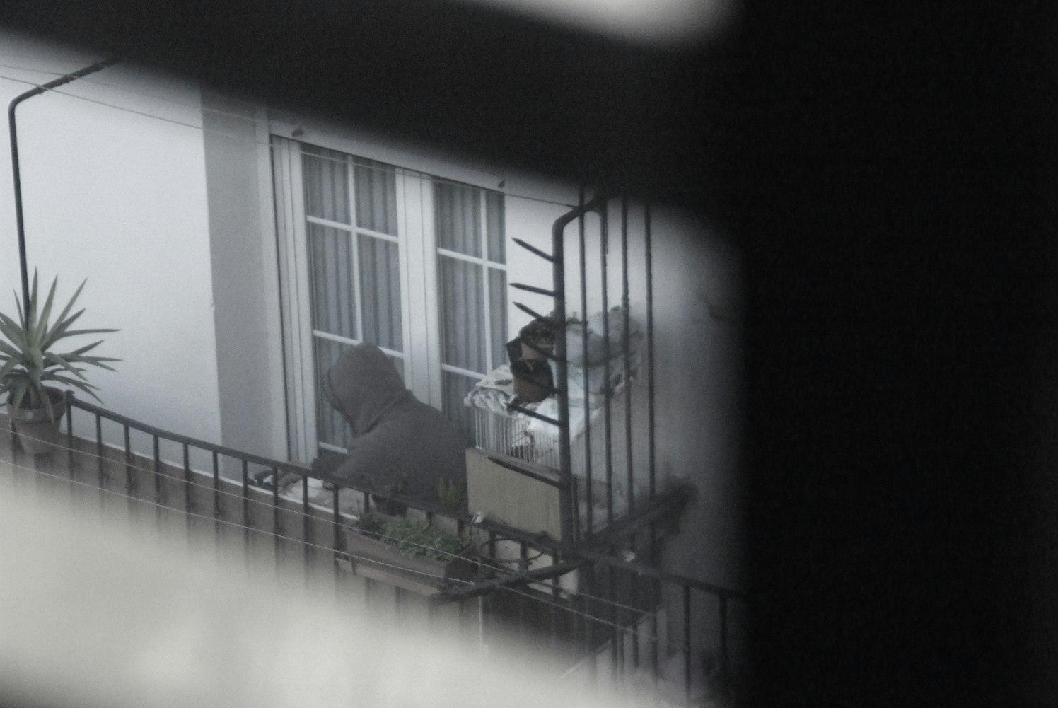 杨仕泽新动态揭秘,多元领域探索与个人潜力无限展现