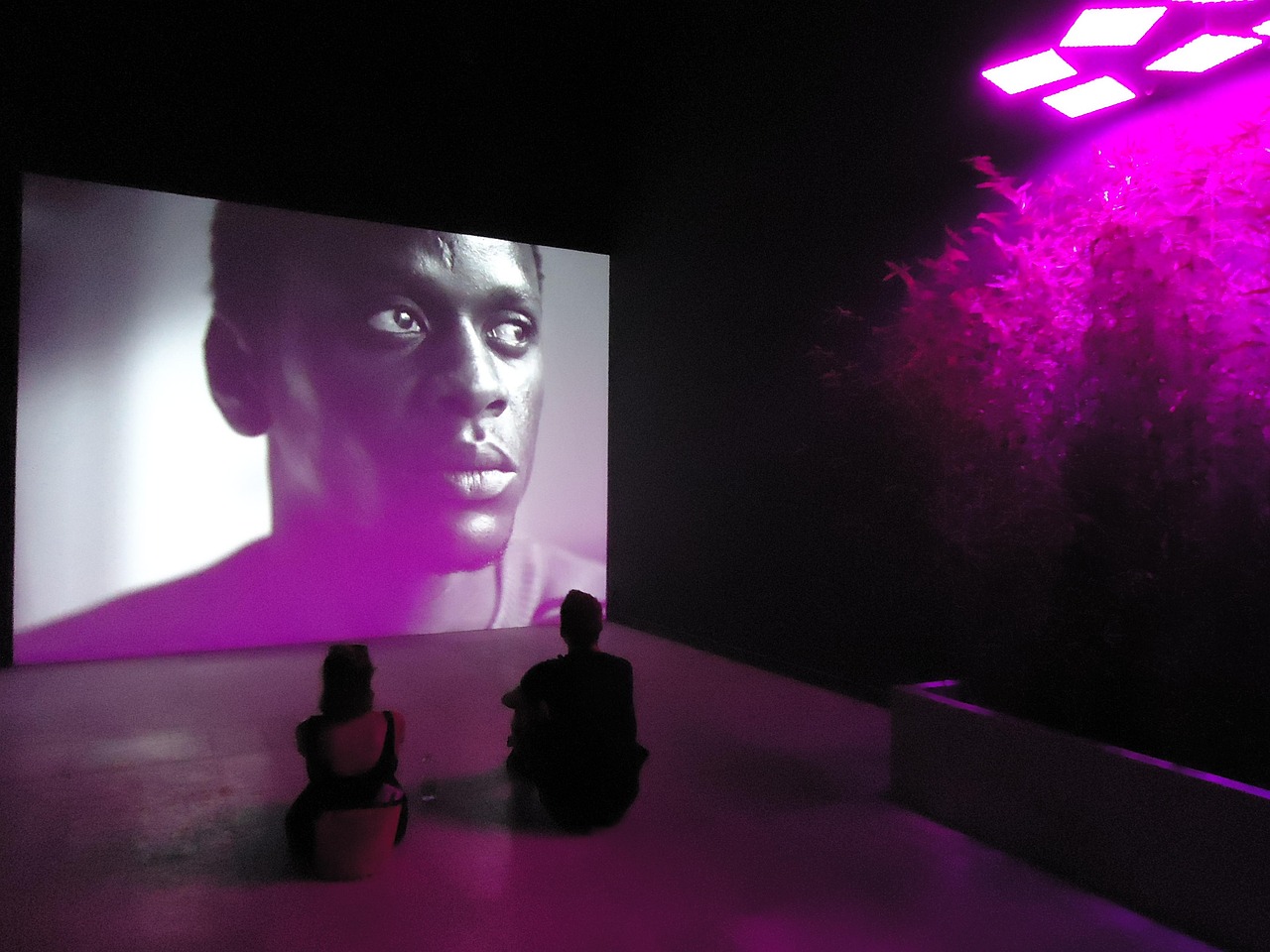 上海电影节时间与解析,一场盛大的电影盛宴盛况揭晓