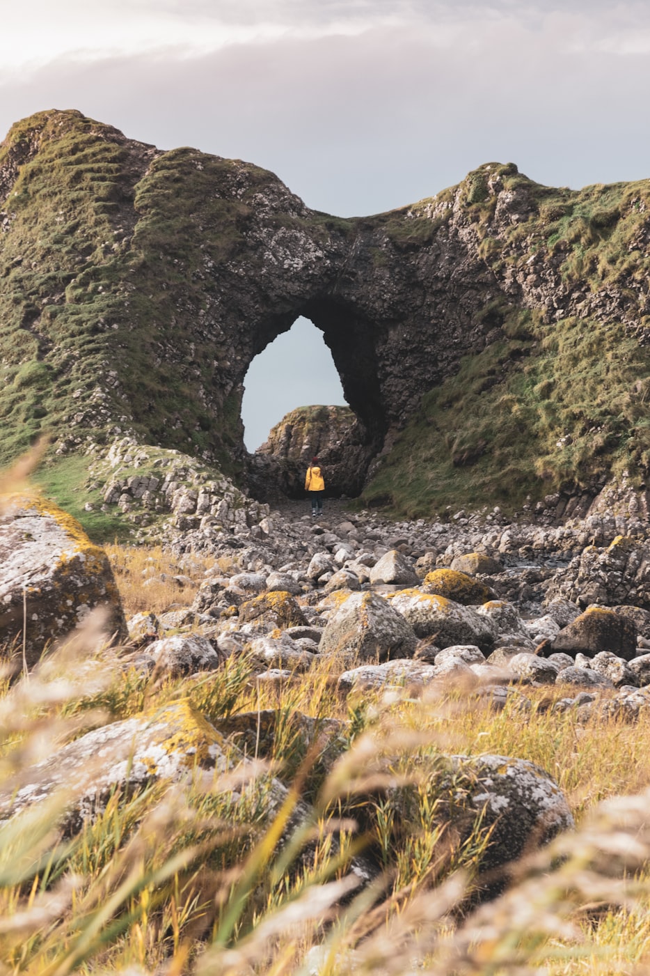 许淑清最新动态揭秘，探索前沿，展现无限可能风采