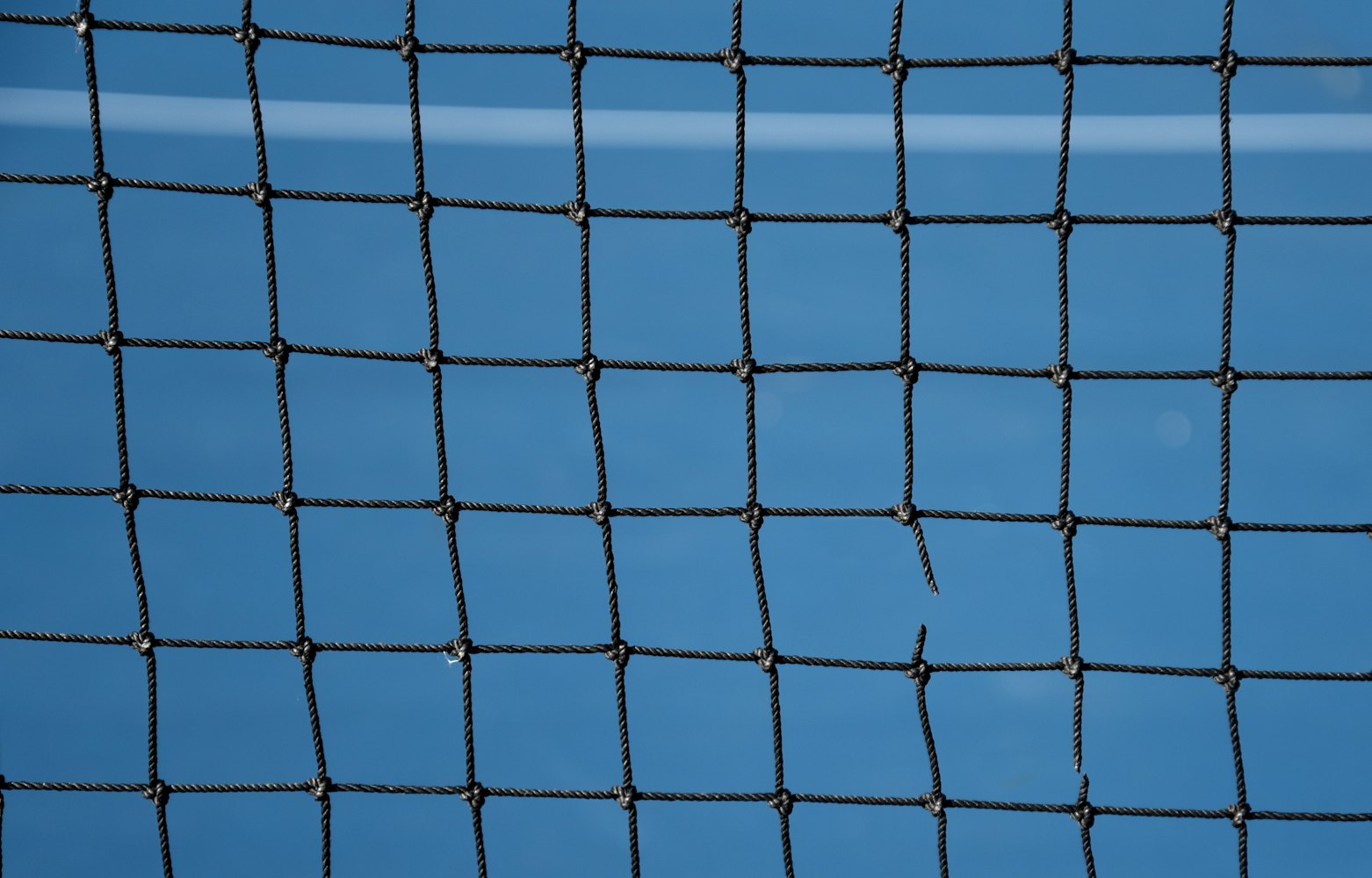 嗨氏直播动态,电竞之星的闪耀时刻,嗨氏直播精彩瞬间回顾