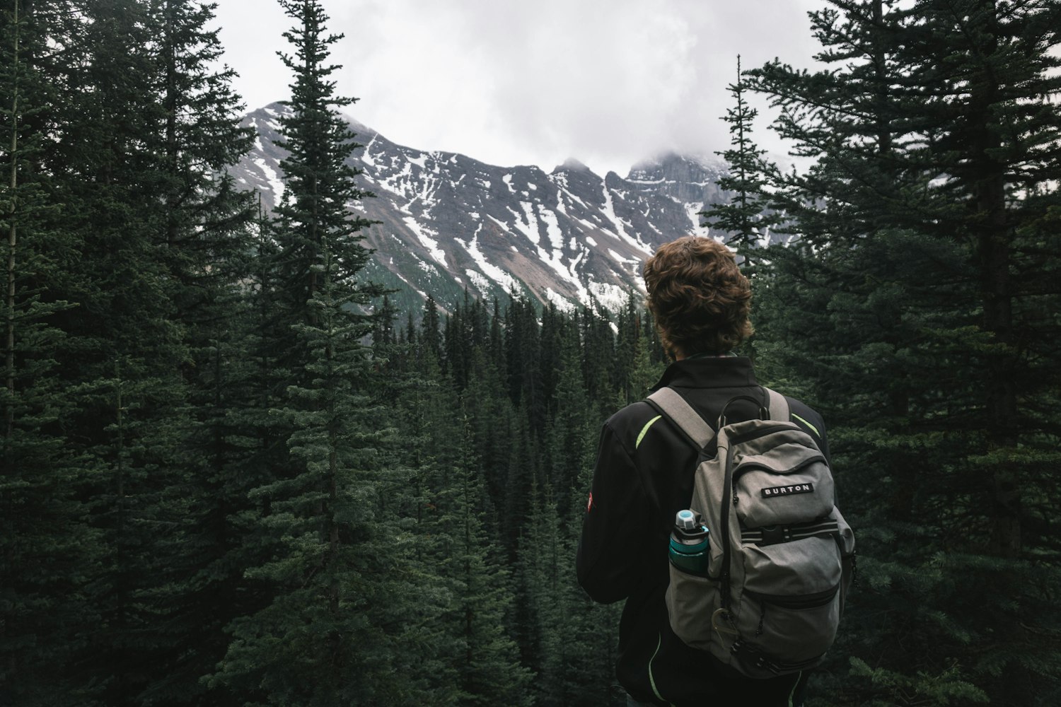 易凡最新动态，多元领域探索的新篇章