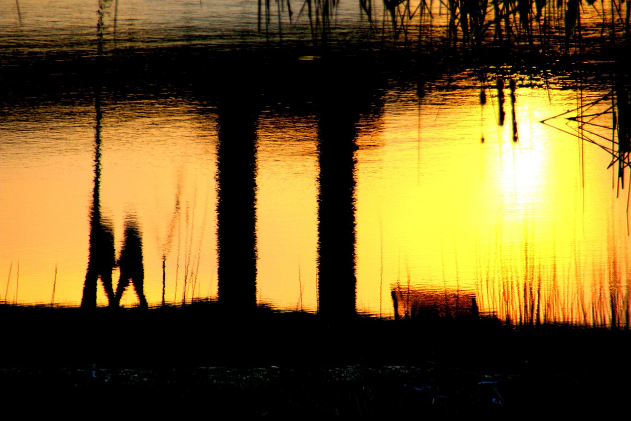 最新日本动漫剧场版,热血与情感的极致探索