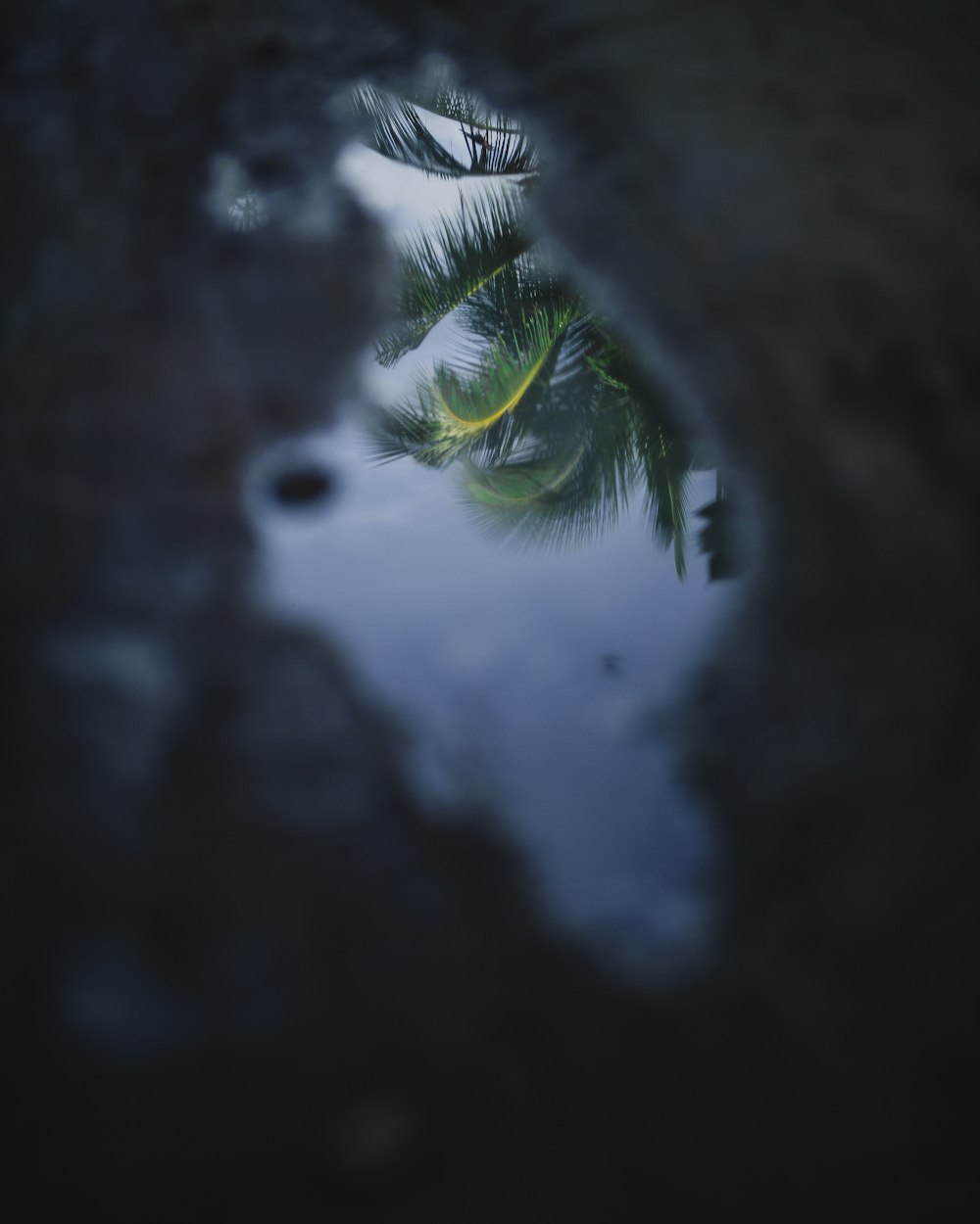 最新照片，时光痕迹的捕捉