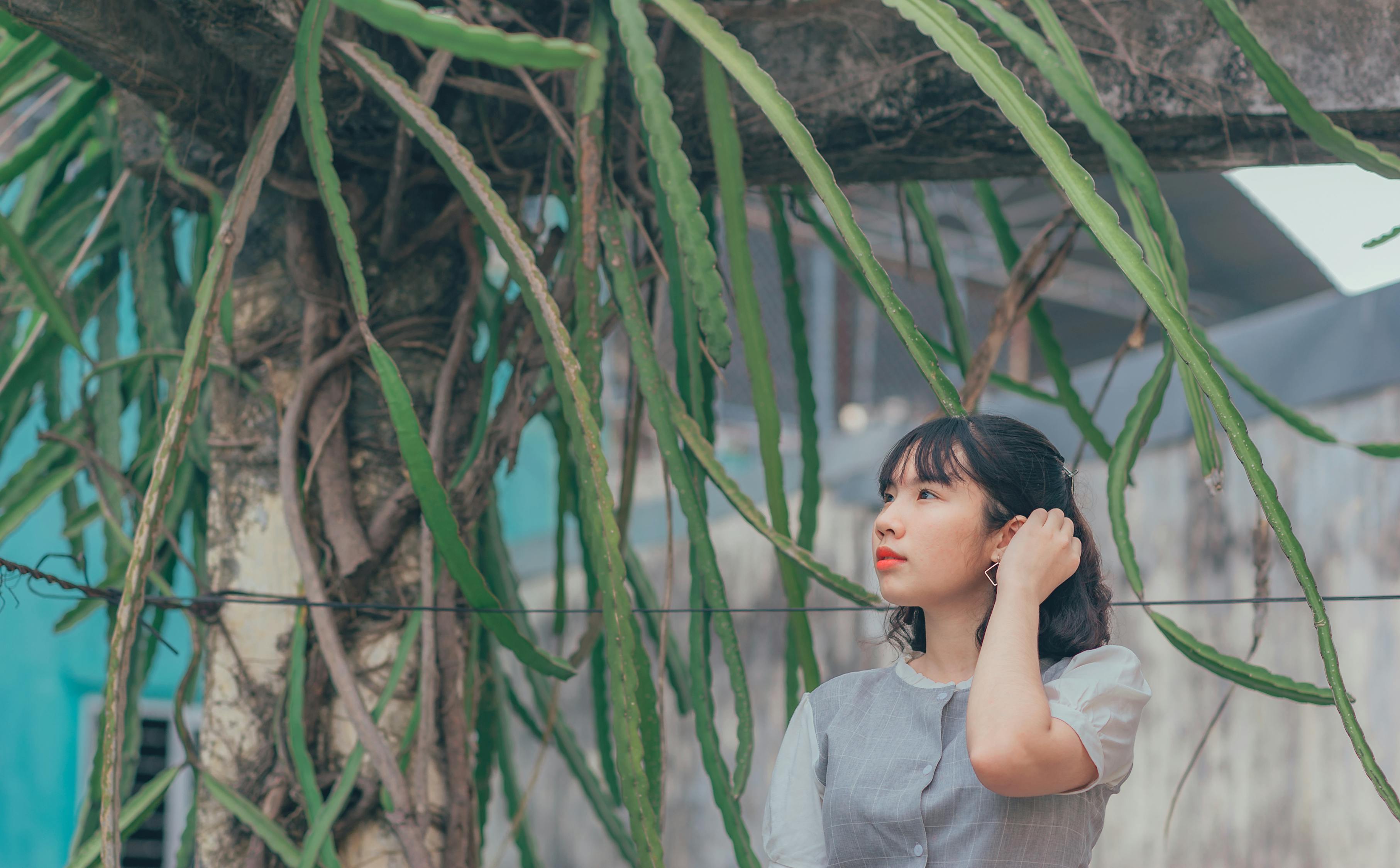 朱雨辰与车晓,电视剧中的耀眼之星