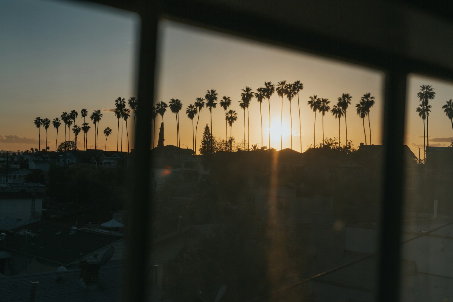 情感世界的影像探索,爱情电影网Love的双重体验