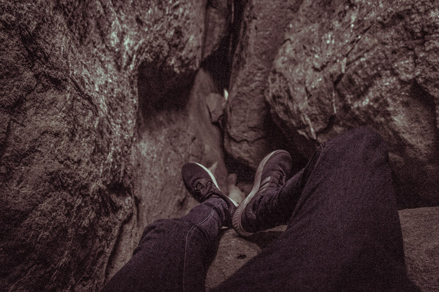 异兽电影,神秘世界奇幻之旅的探索