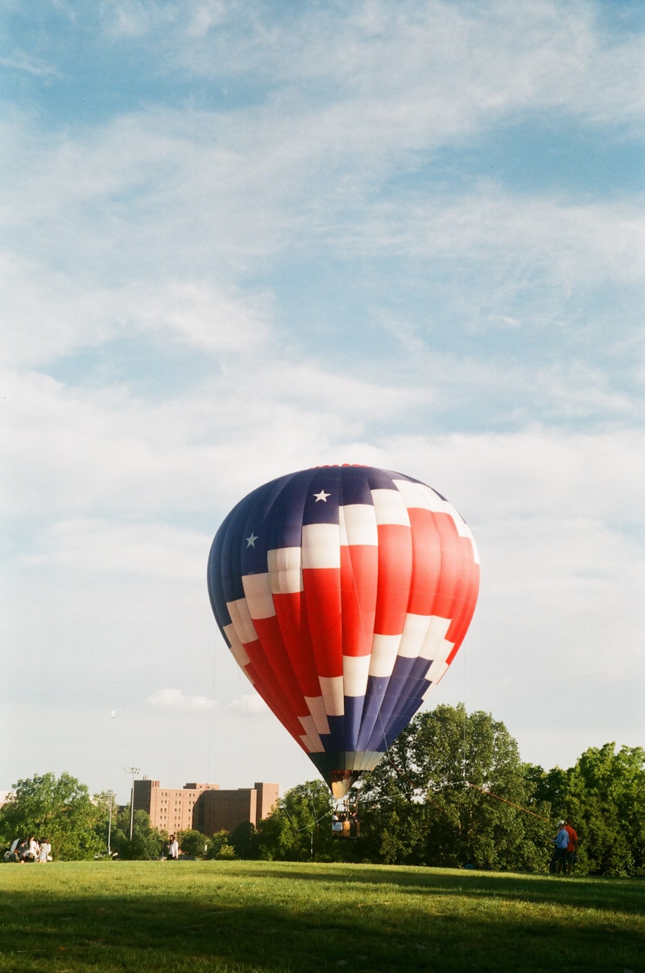 确山夏枯球行情分析与最新动态
