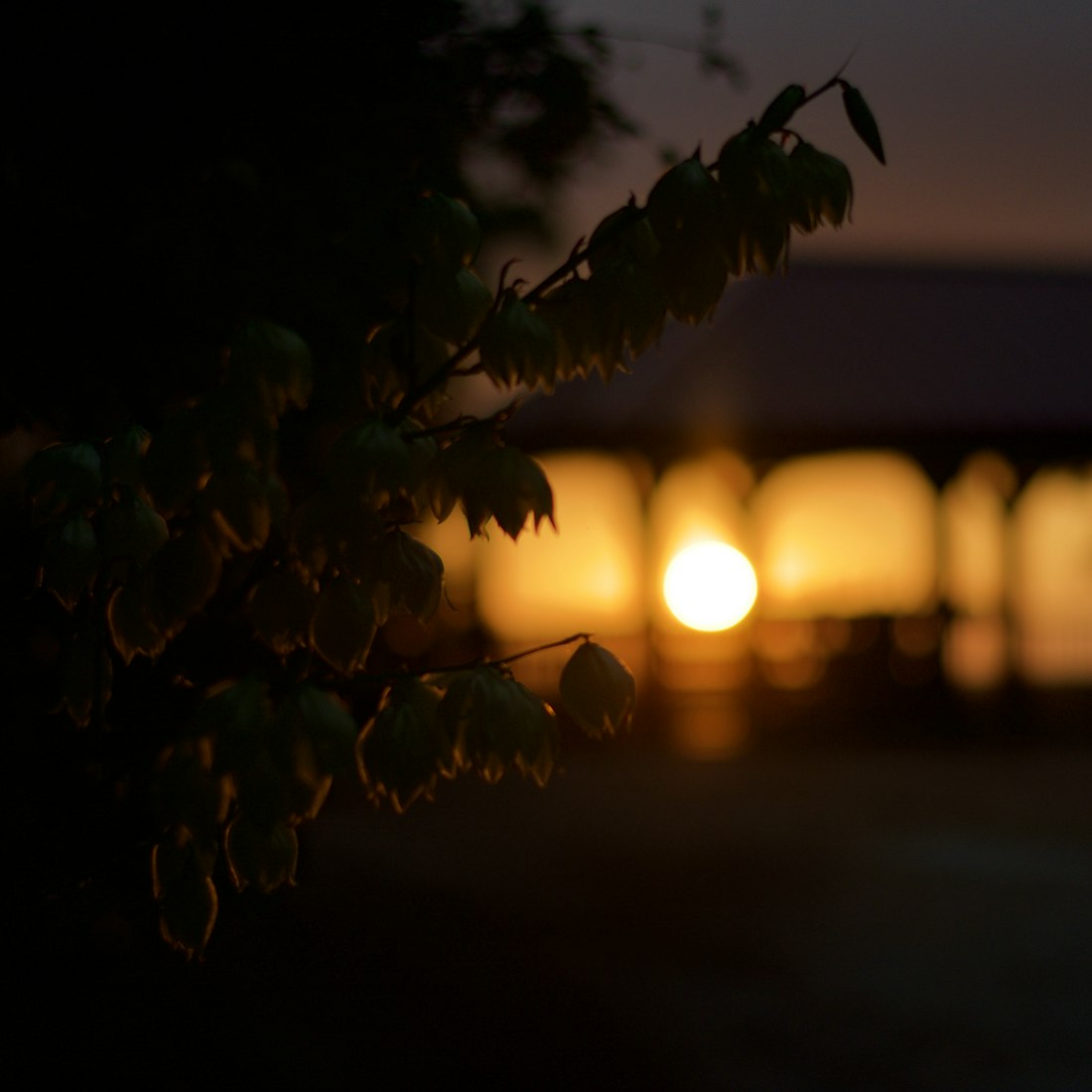 探索美丽与梦幻的交汇点,唯美动漫图片欣赏