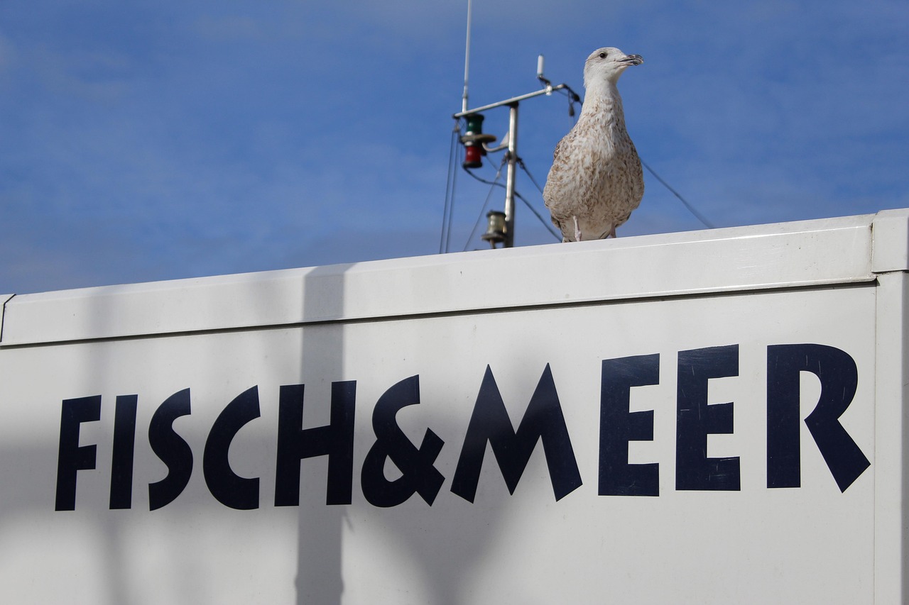 镍矿最新行情深度解析与报道