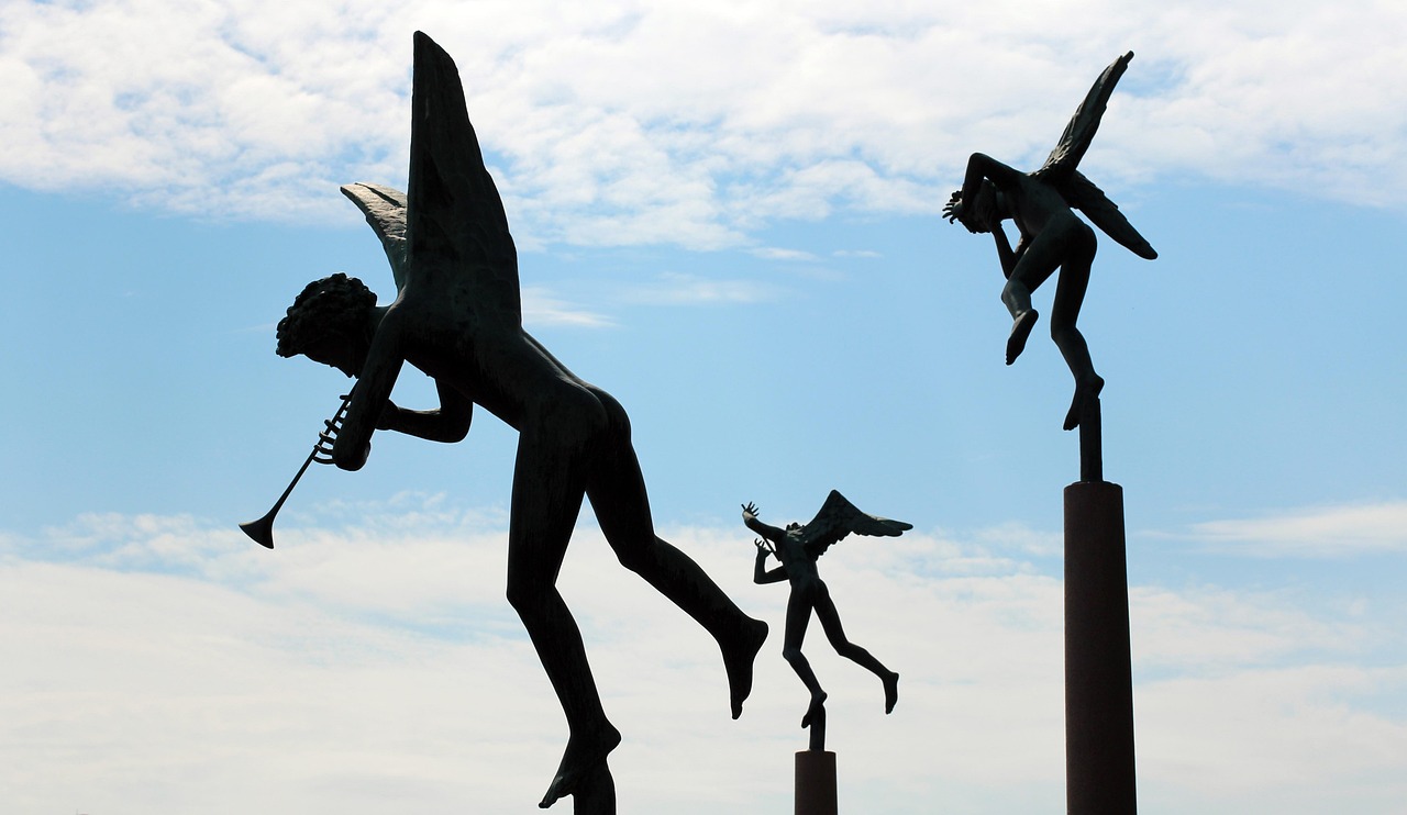 白鸽翱翔,梦想与荣耀的赛场