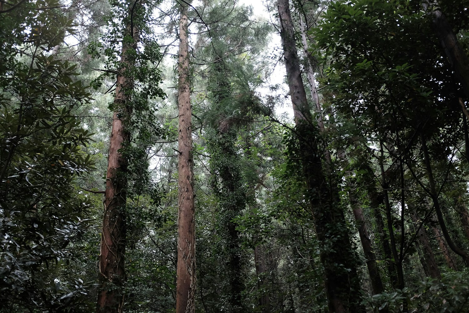常州经开区最新动态项目，引领城市发展的核心驱动力