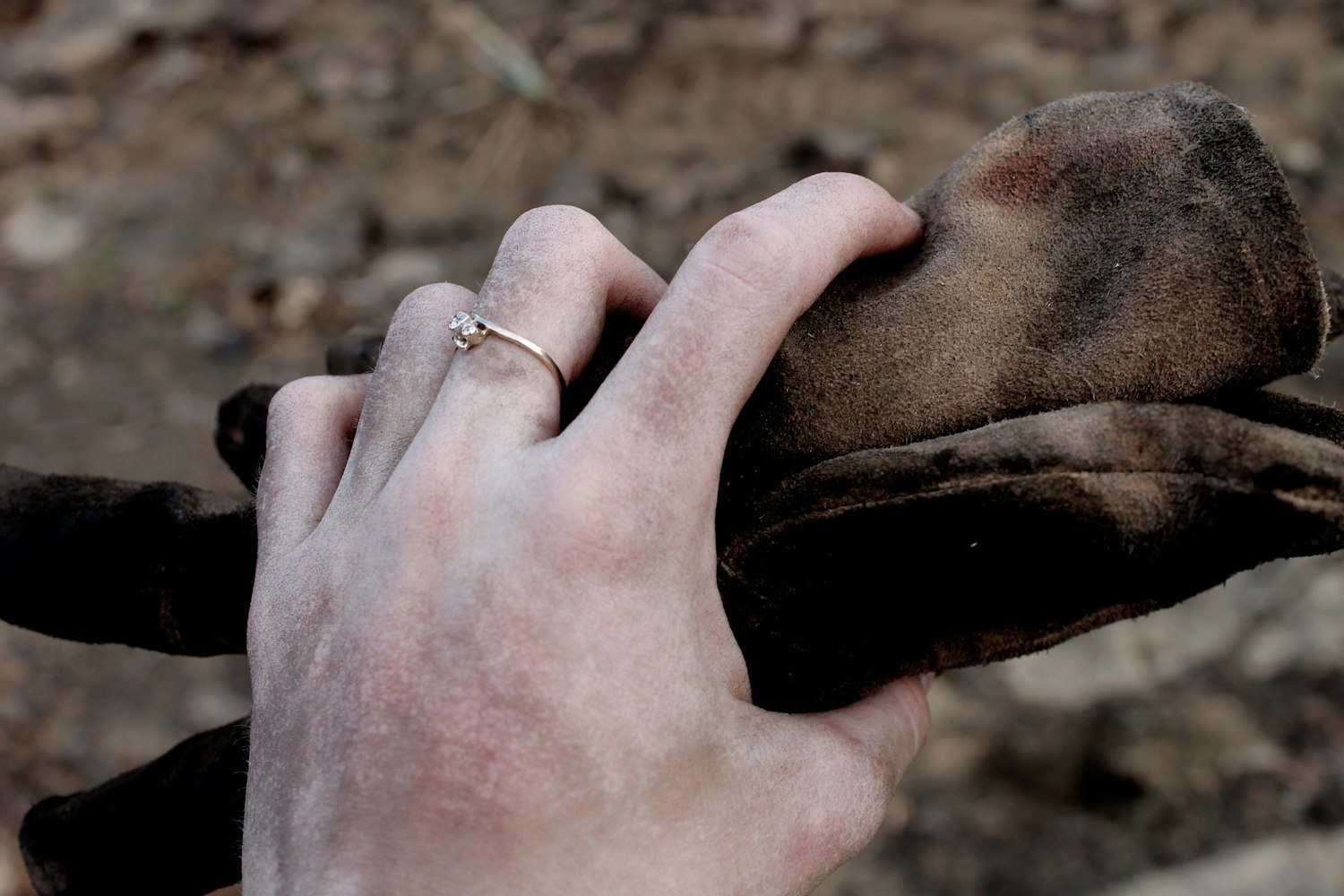 计算机招聘网最新动态,技术人才的黄金时代启幕