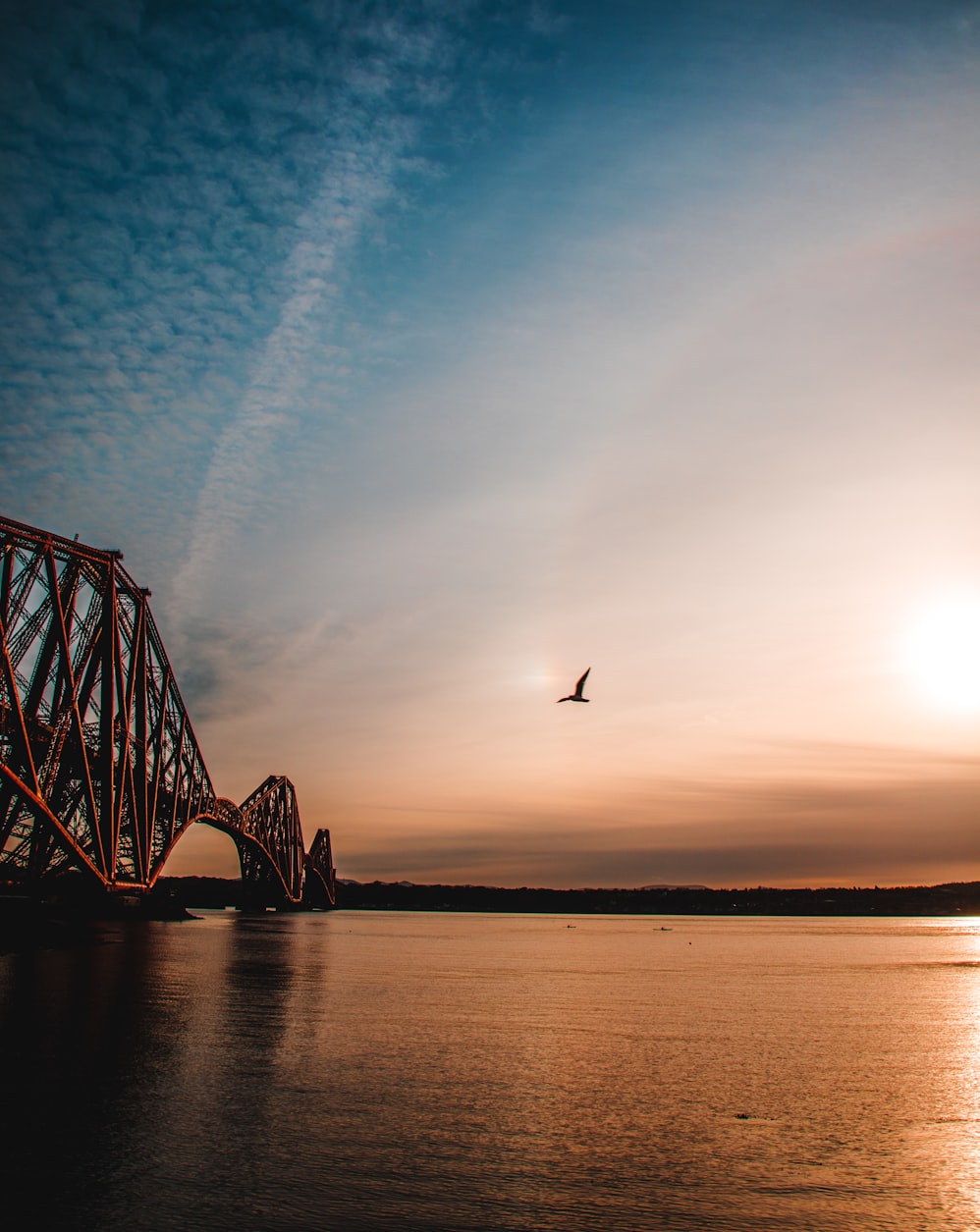 计算机招聘网最新动态,技术人才的黄金时代启幕