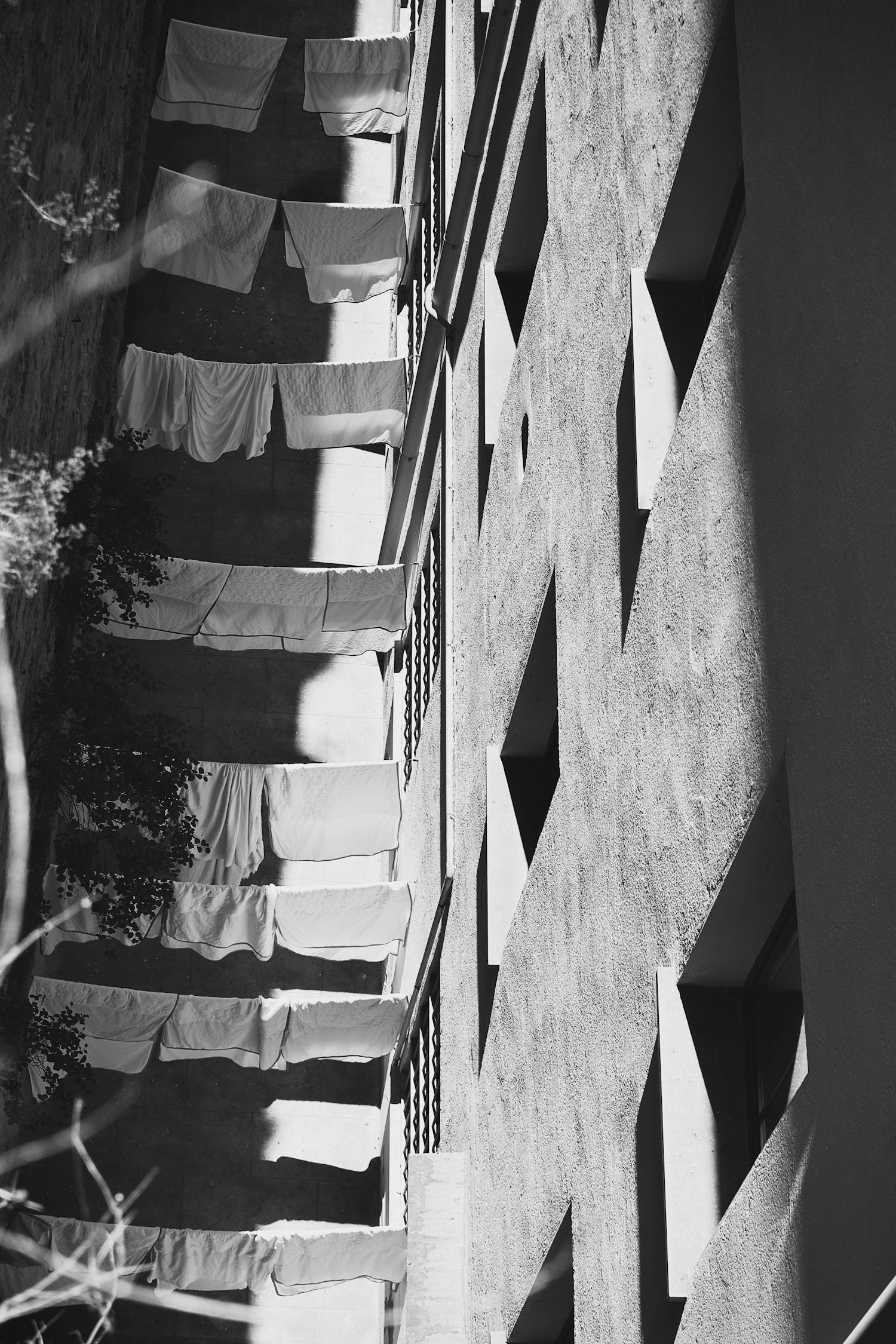 杨念忠新作揭秘，探索艺术边界的独特魅力