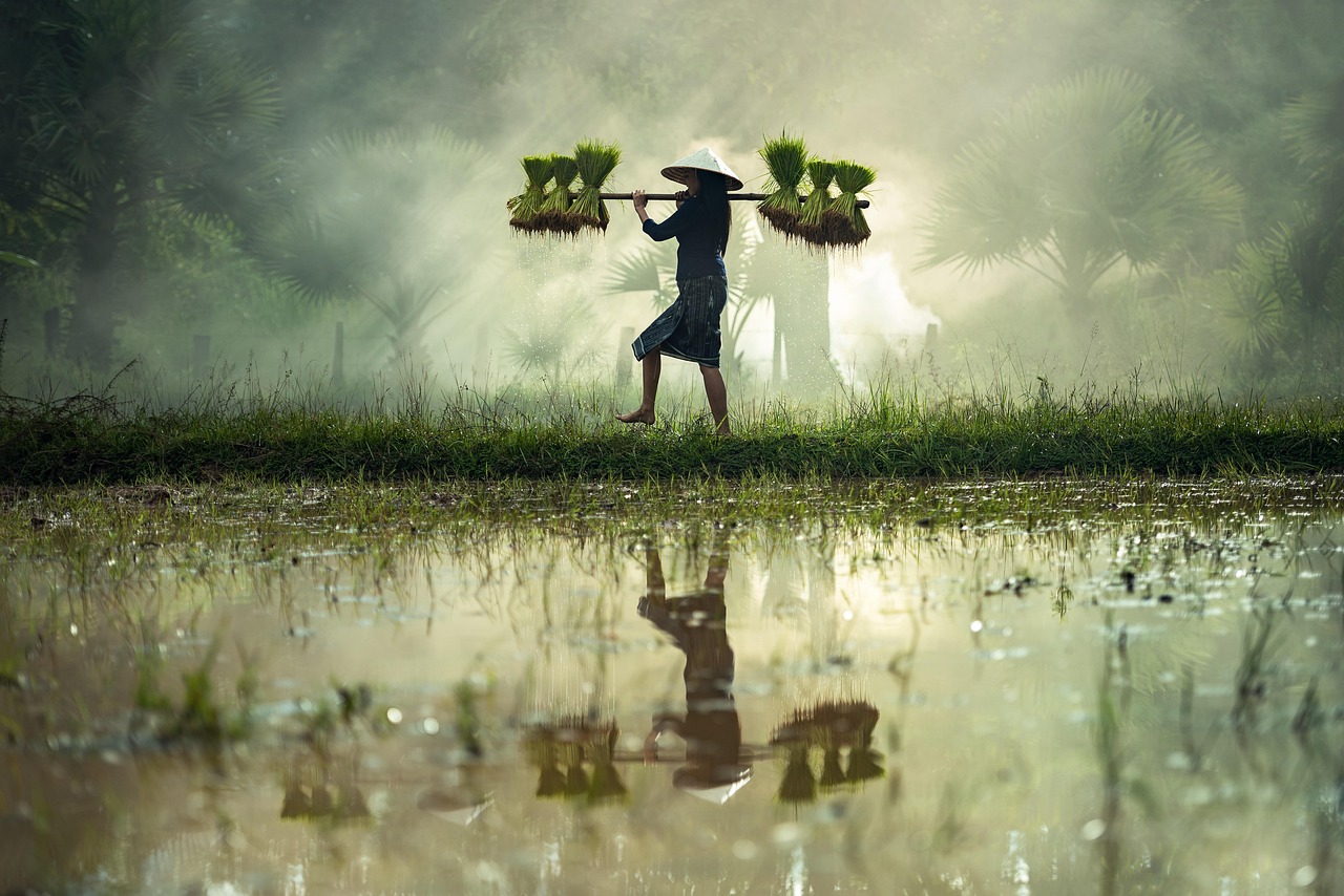 自考北京电影学院，追梦电影之路的挑战与收获