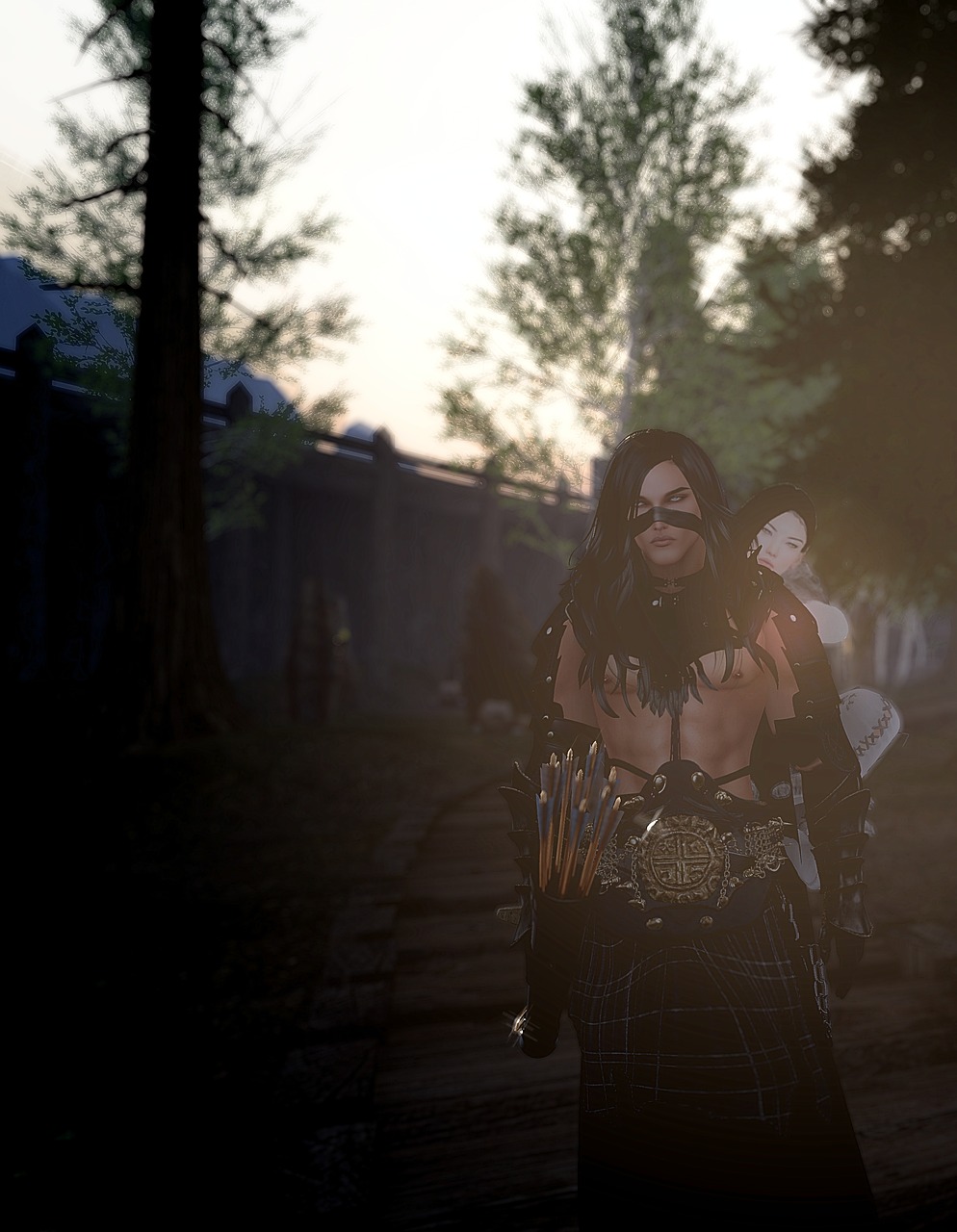 流浪猫动漫,现实情感与虚拟世界的共鸣之旅