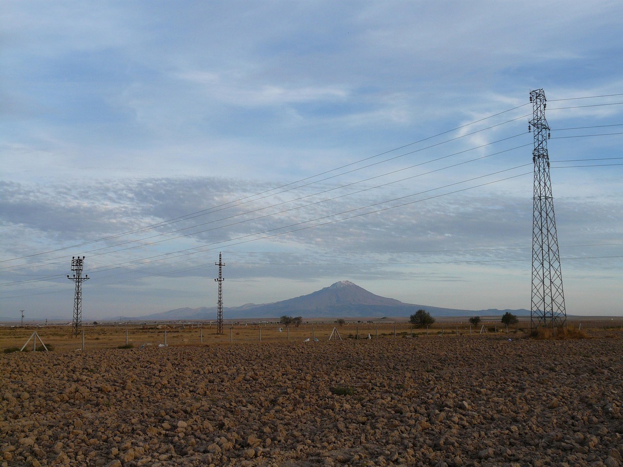 周建国最新动态与成就概览