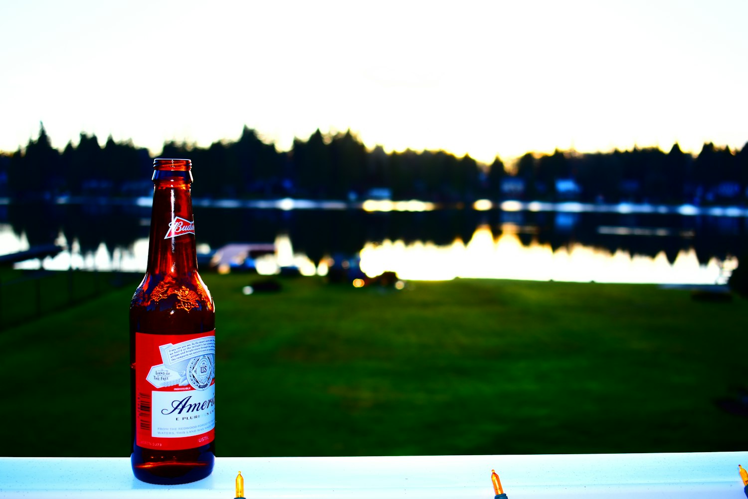 资阳百威啤酒最新招聘信息详解及招聘相关解读