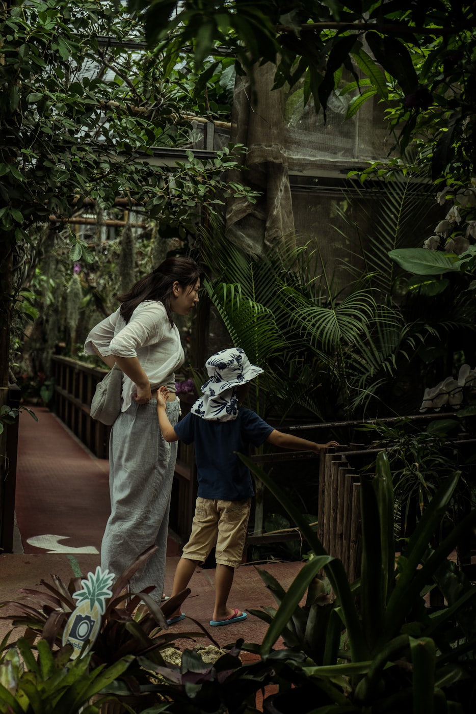 公公电影，深度探索家庭伦理与情感的艺术