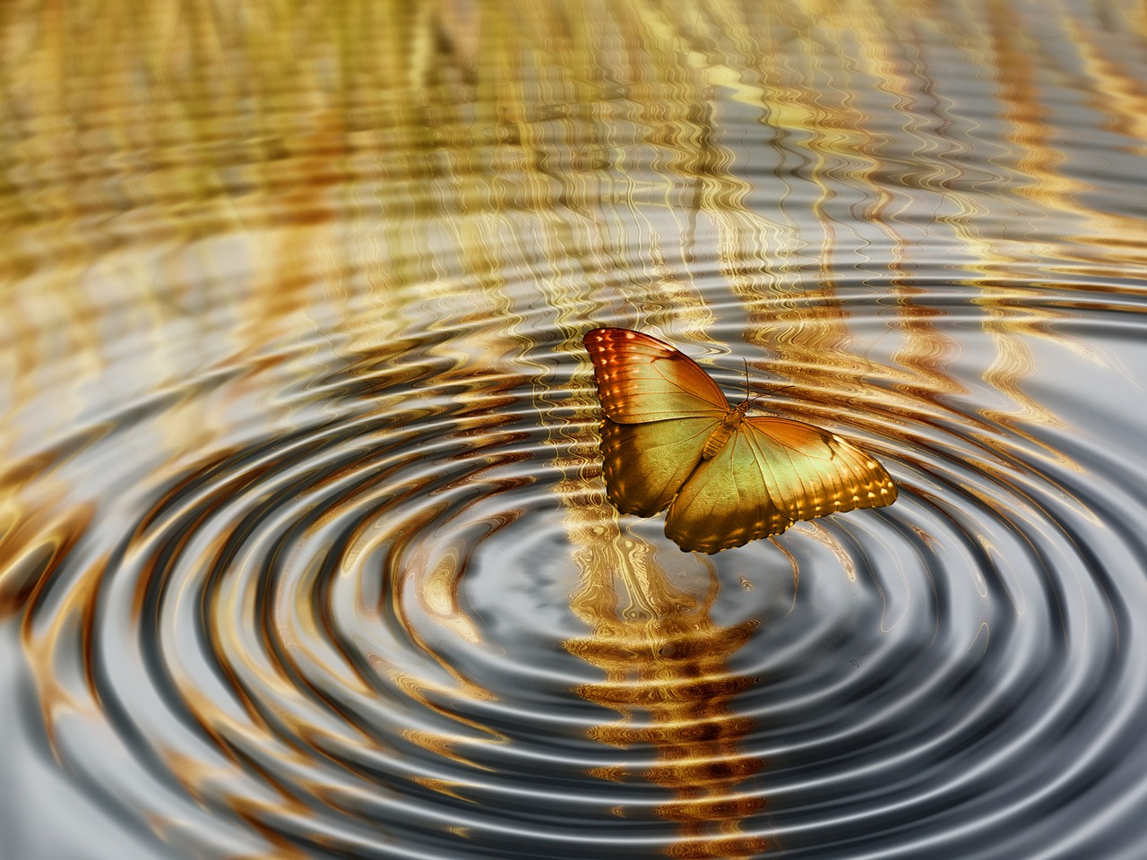 动漫的魅力与影响,深入探索其存在价值