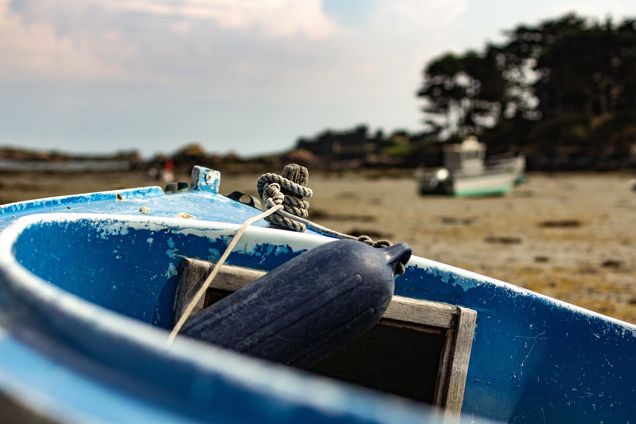 中卫最新疫情动态，全面应对，守护家园安宁的坚定行动