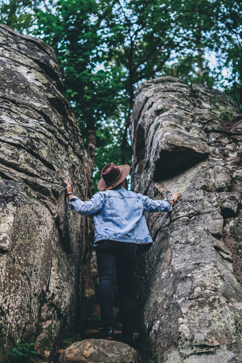 回龙山资讯更新,自然美景与文化底蕴的交融探索地