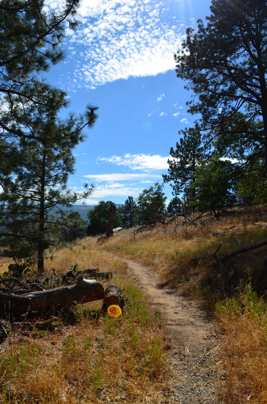 回龙山资讯更新,自然美景与文化底蕴的交融探索地