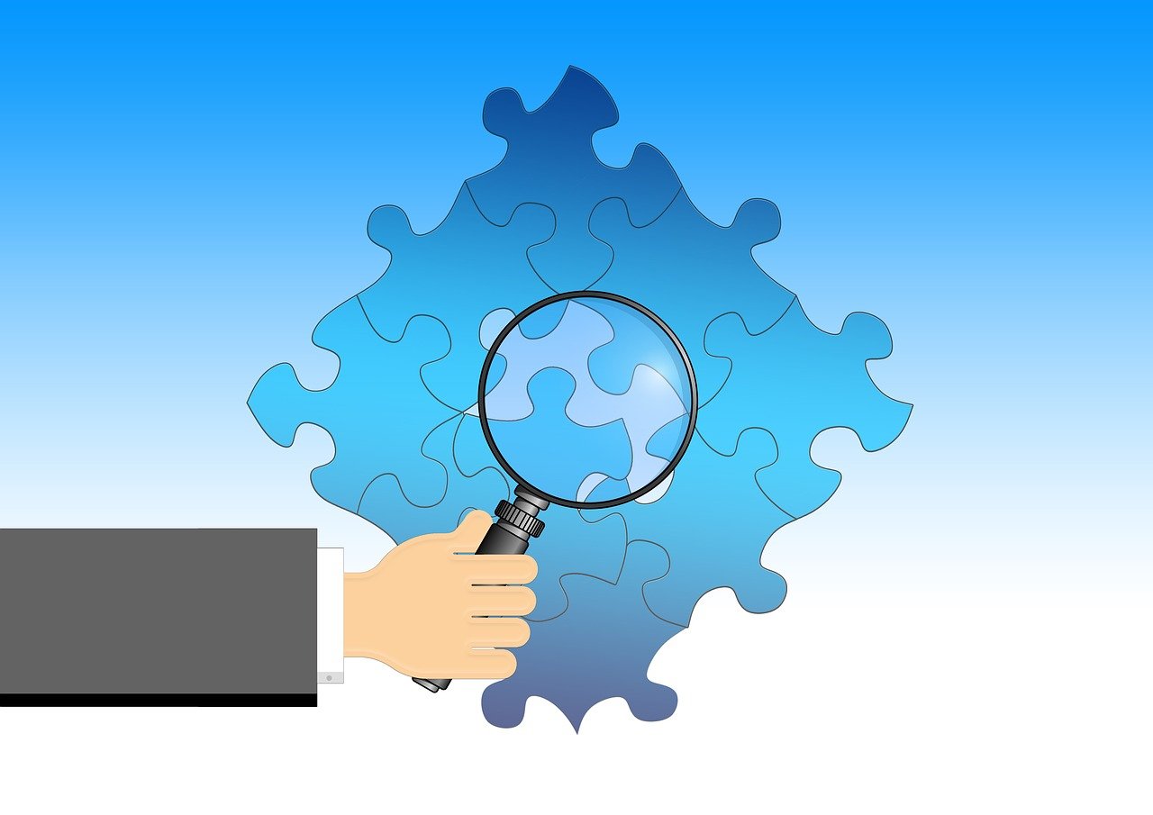 今年猪价行情分析与展望