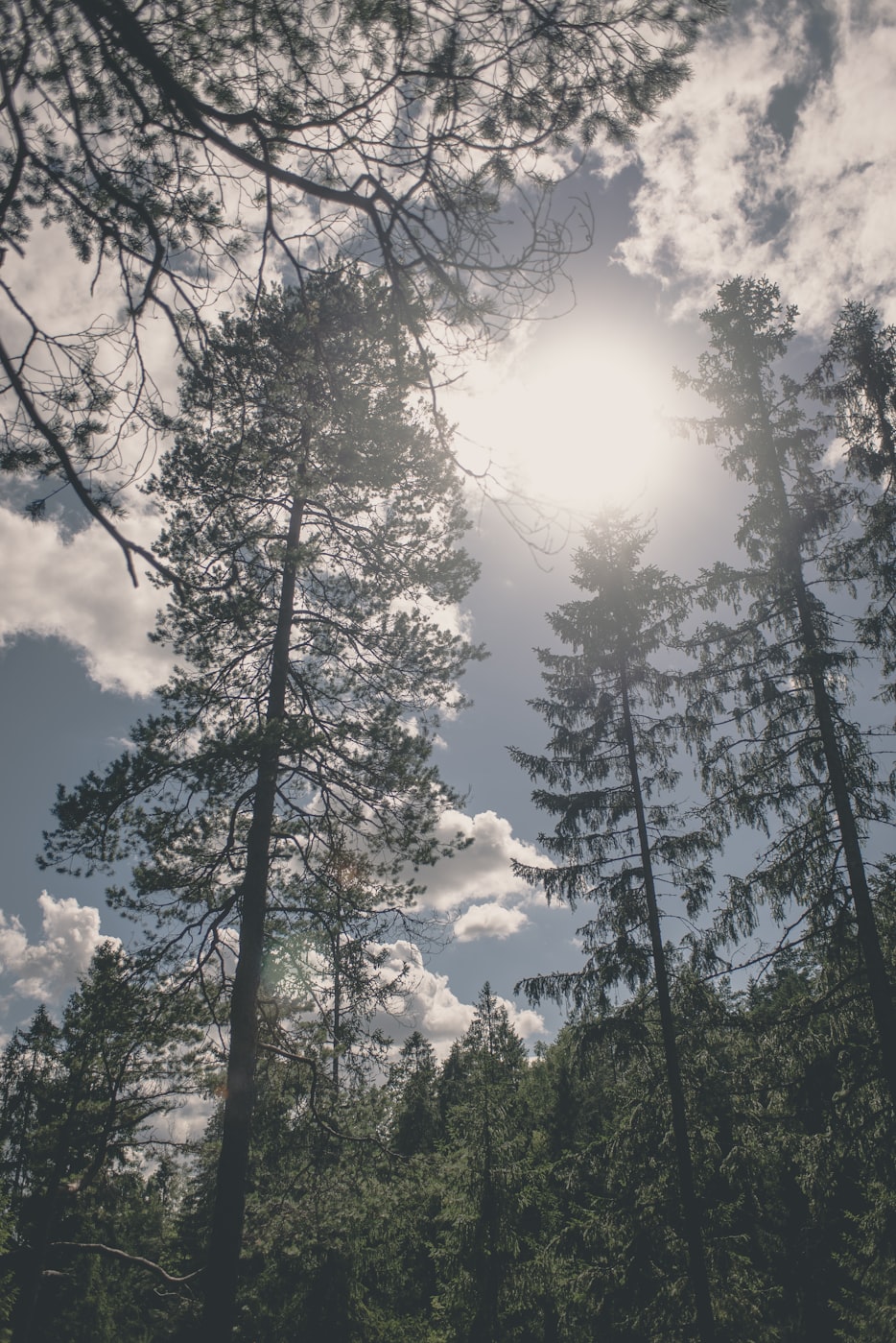 凉山新季声闻，自然与人文的和谐交响探索