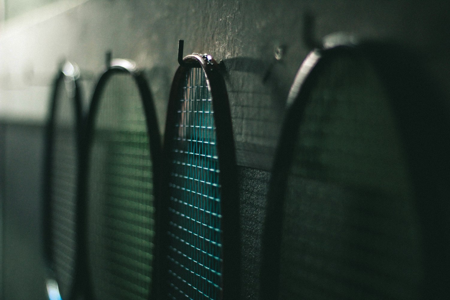 今日毛鸡价格行情与鸡病专业网解析——市场动态深度探讨