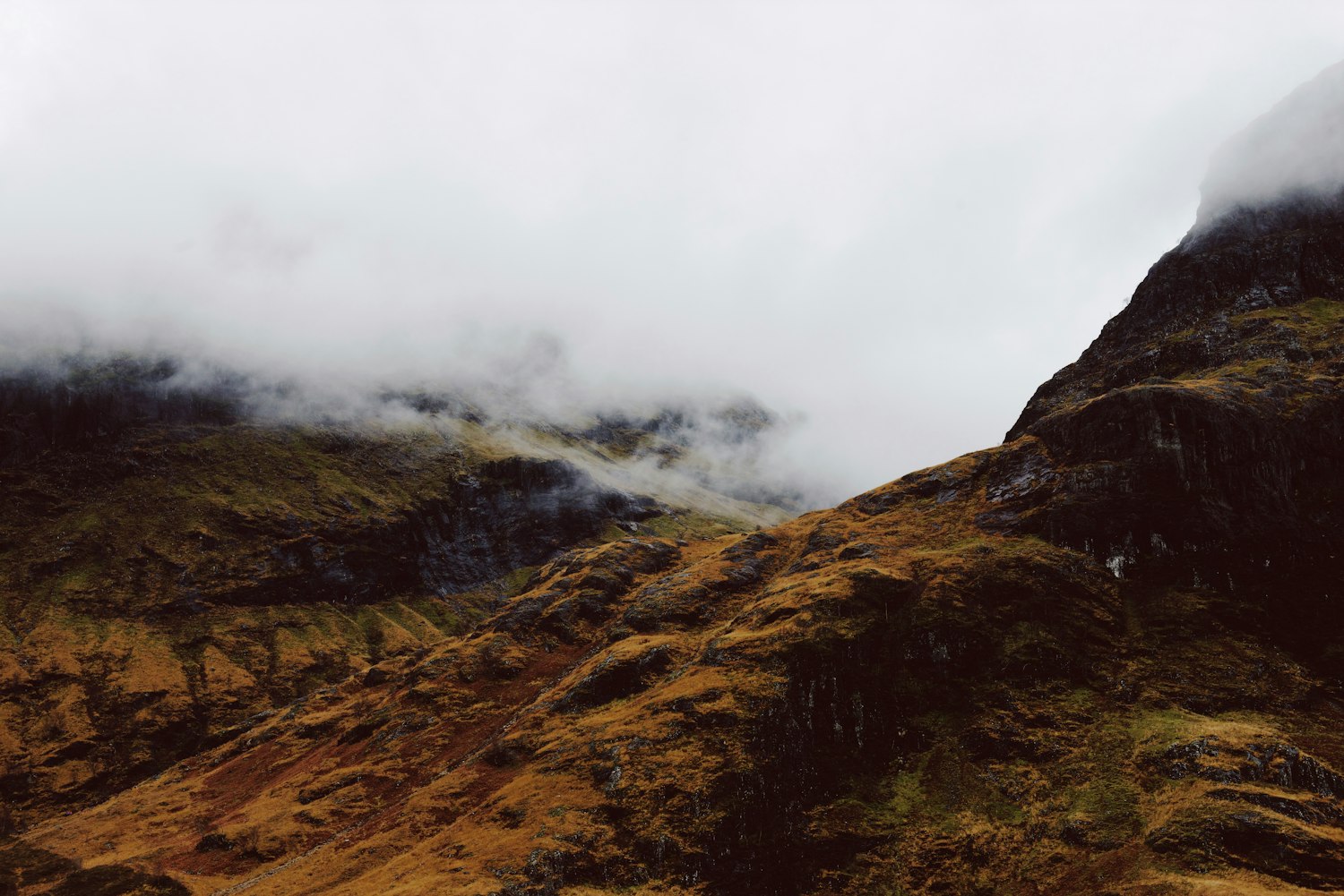 黄金叶红旗渠最新售价及动态分析概述