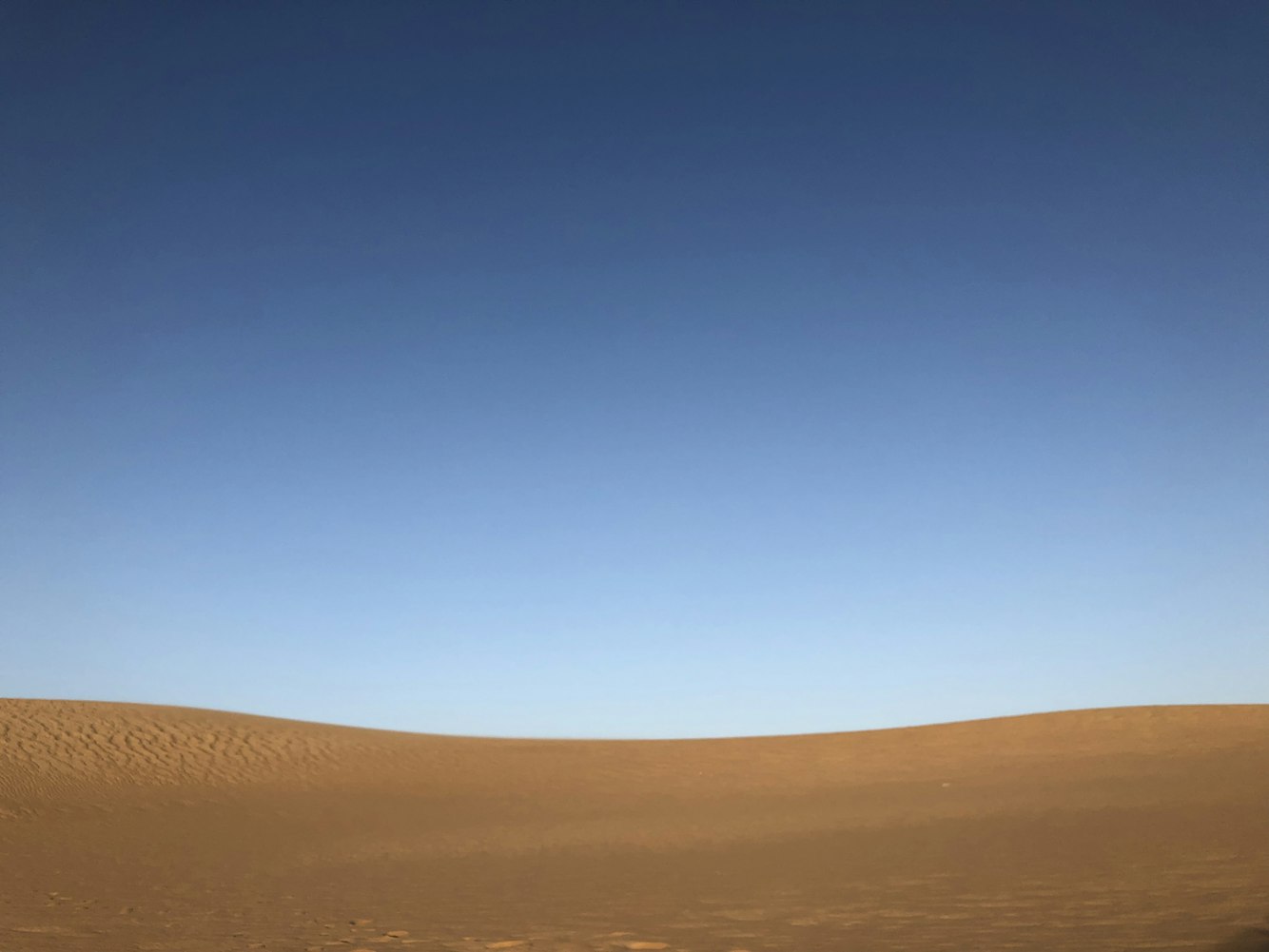 向日葵股价最新动态及市场走势分析与展望