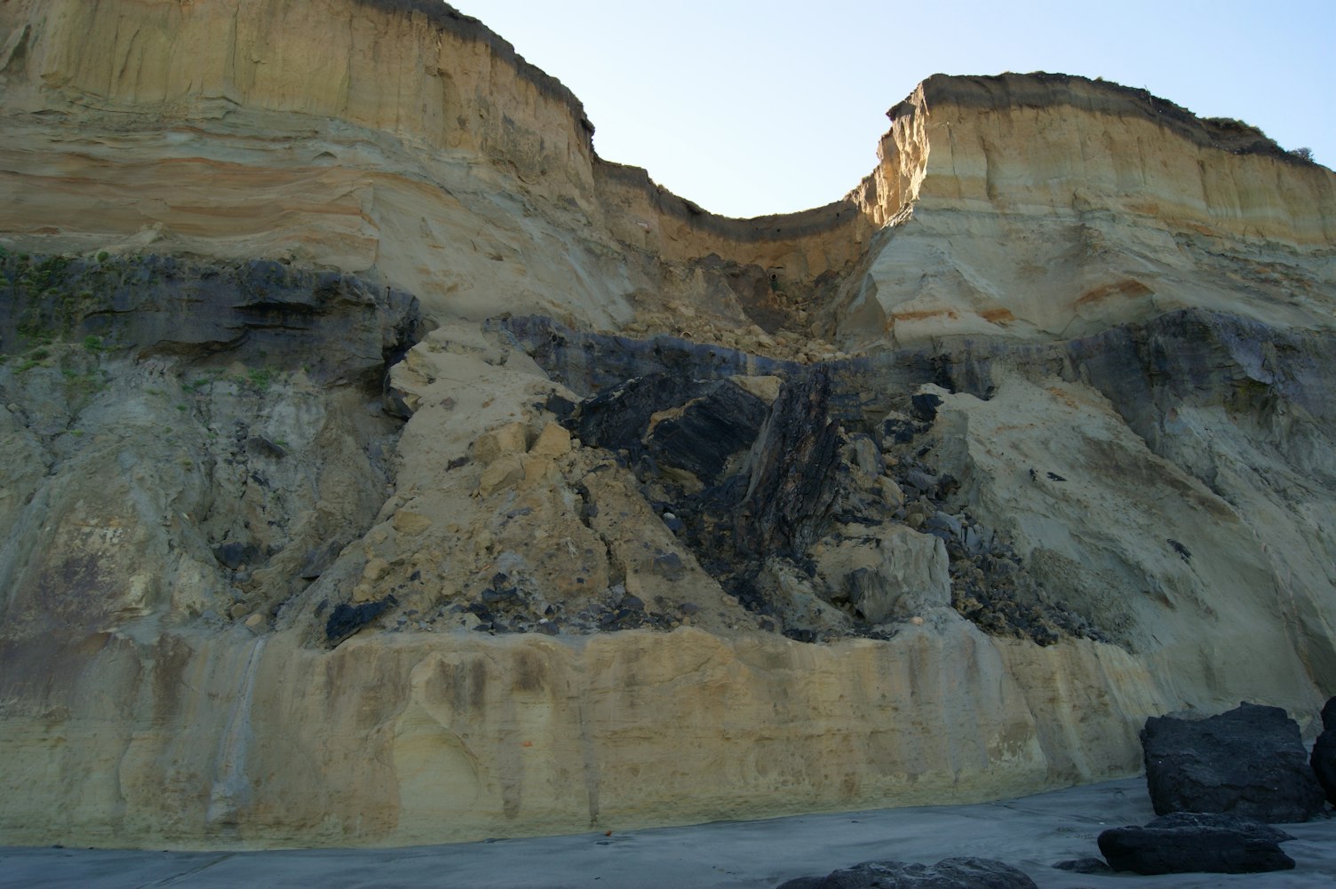 新西兰最新工作资讯概览,最新动态与机会解读