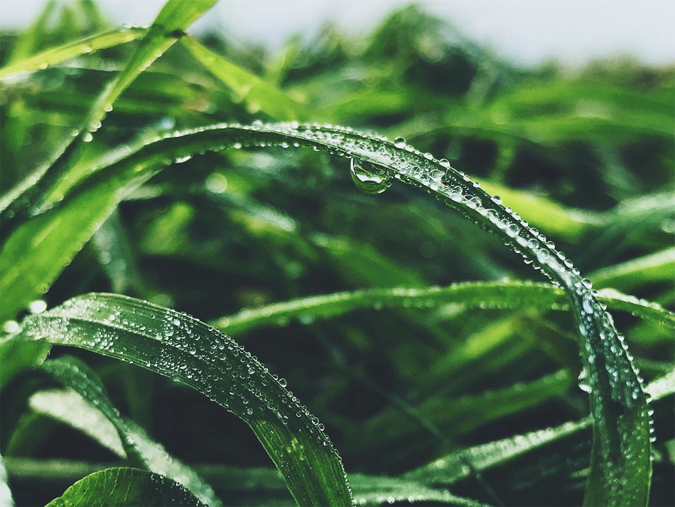 新西兰最新工作资讯概览,最新动态与机会解读