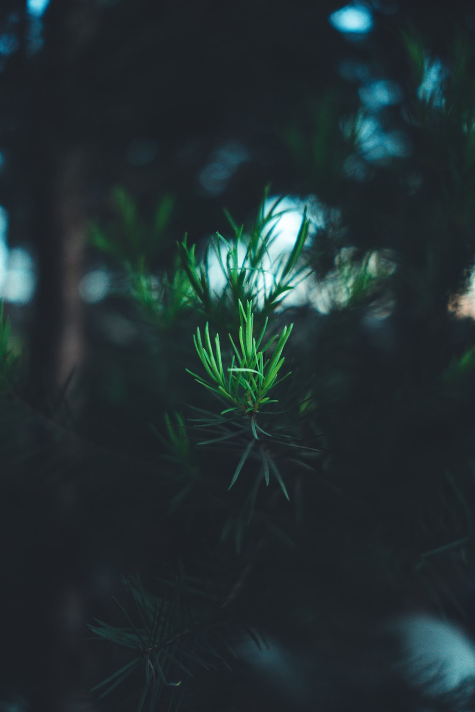 随珠花园最新动态速递