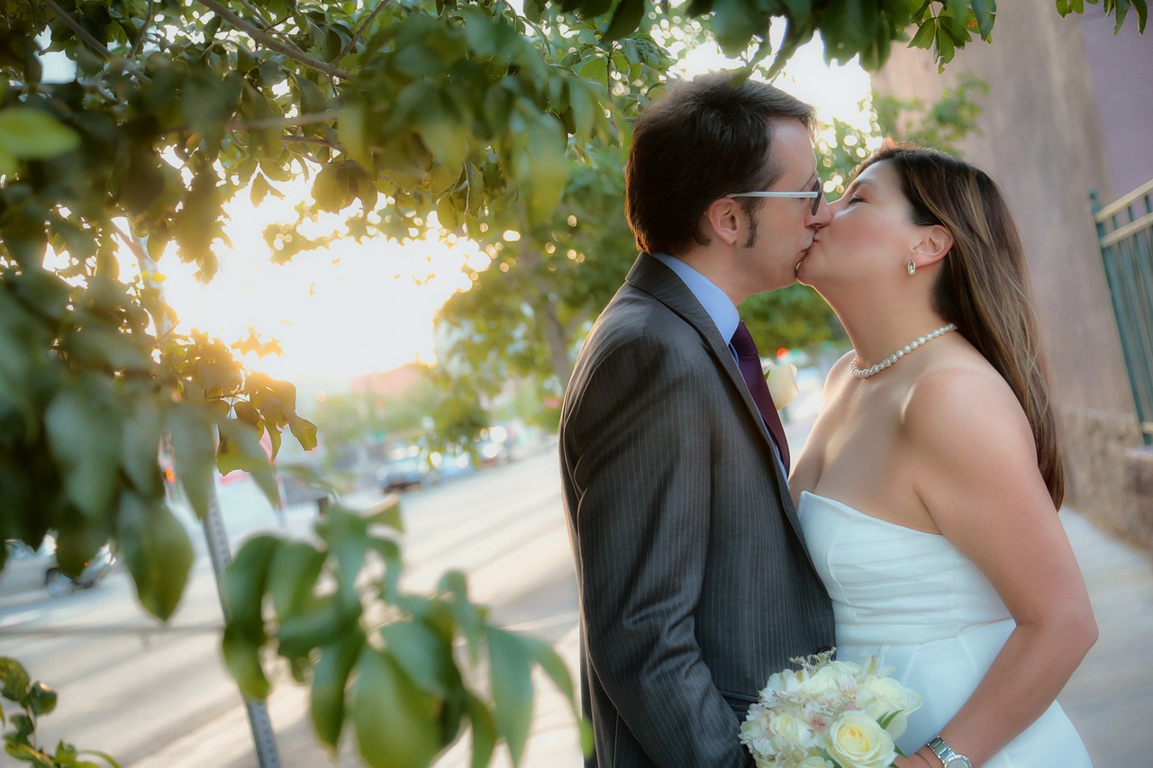 电视剧我把忠诚献给你,情感与承诺的忠诚之旅