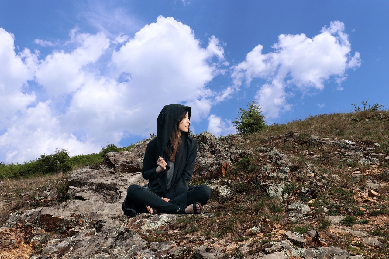 电视剧我把忠诚献给你,情感与承诺的忠诚之旅